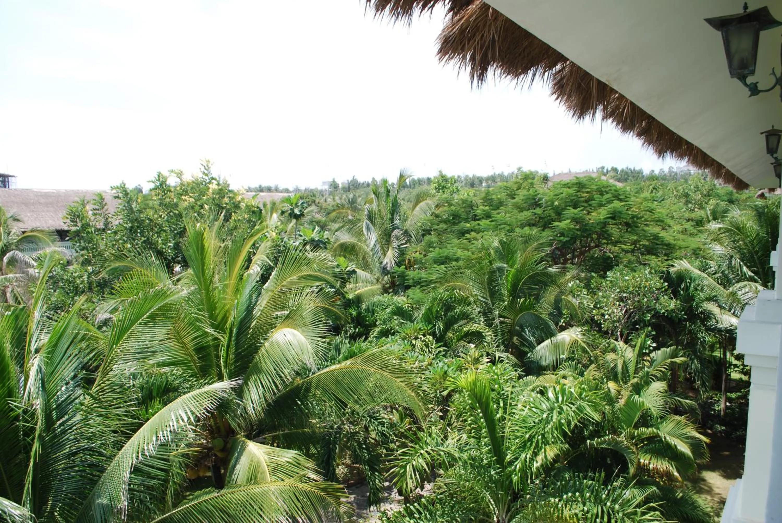 Natural landscape in Allezboo Beach Resort & Spa