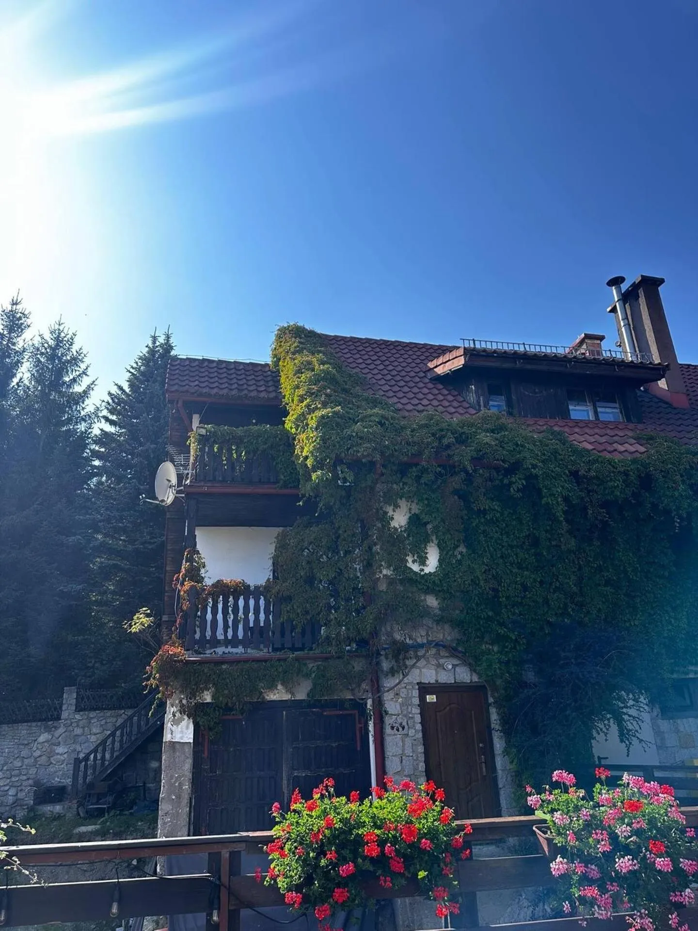 Property building in Tarasy Wang