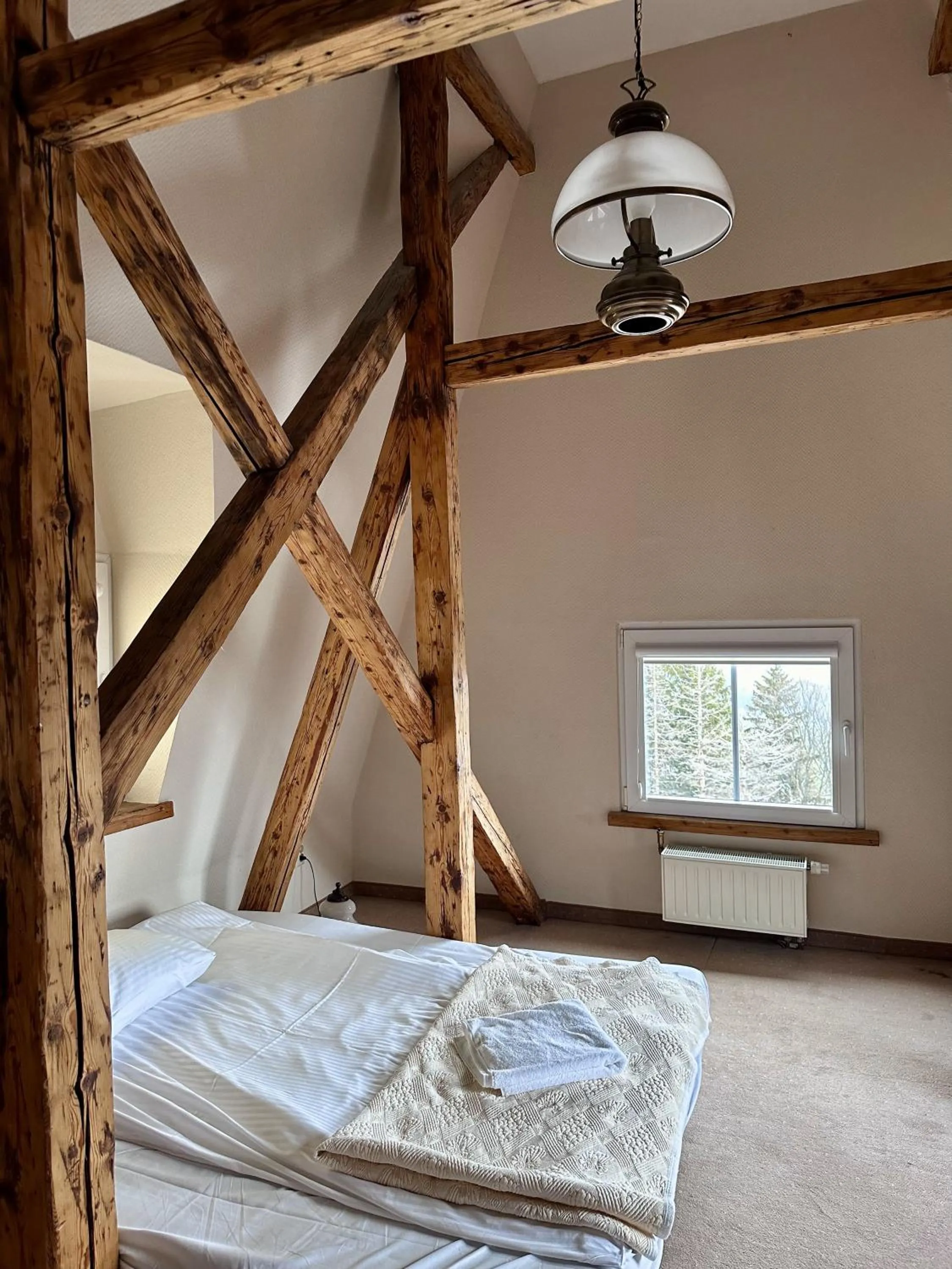 Bedroom, Bed in Tarasy Wang