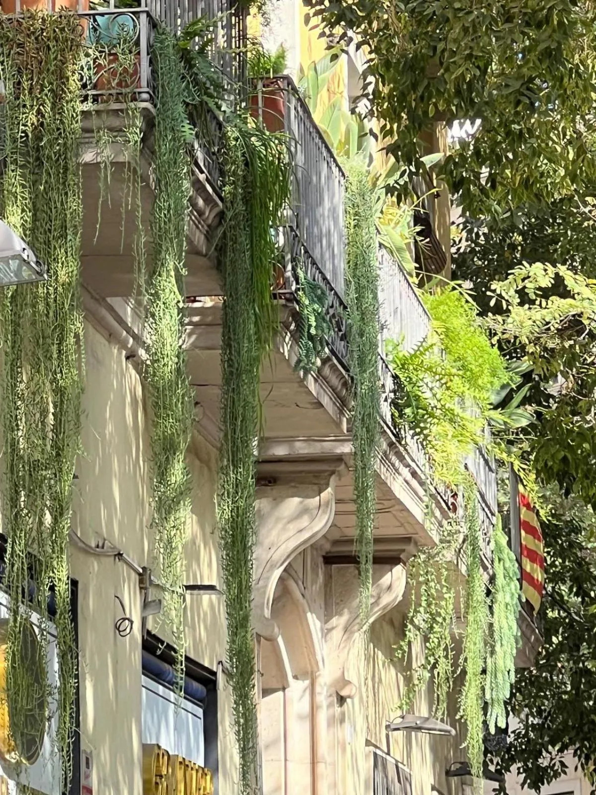 Property building in Plaza Goya Rooms