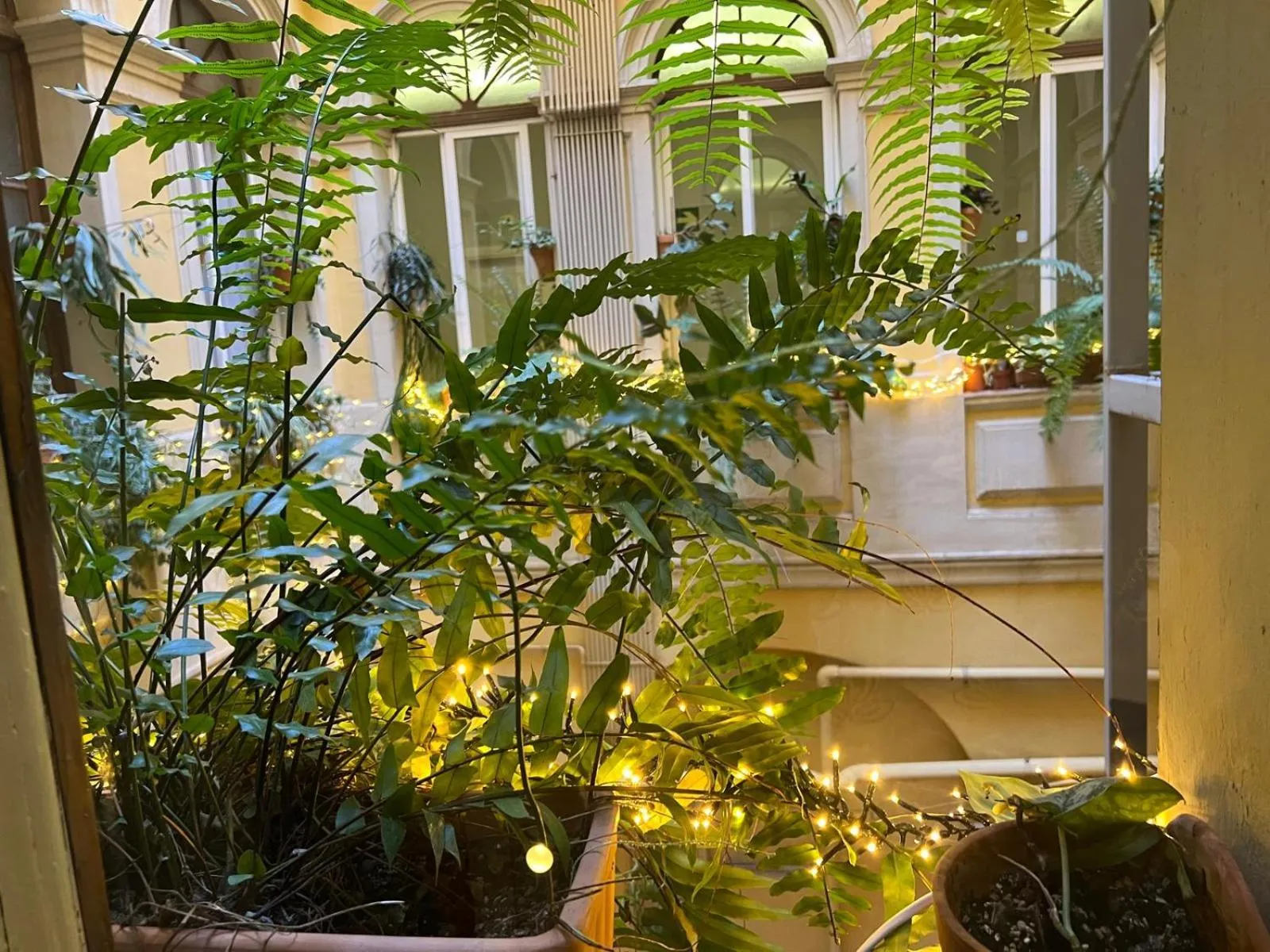 Patio in Plaza Goya Rooms