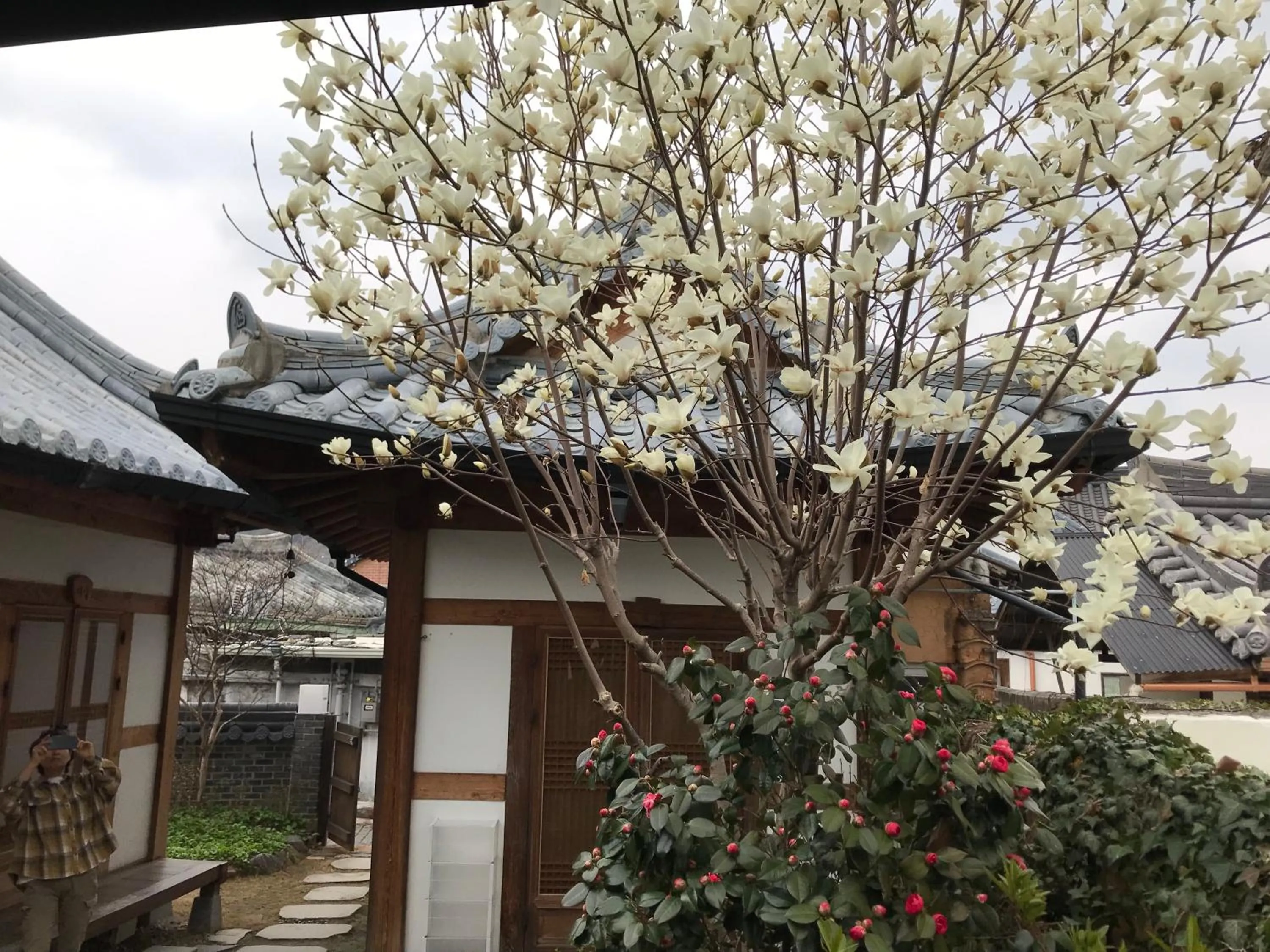 Property building in Sarangroo