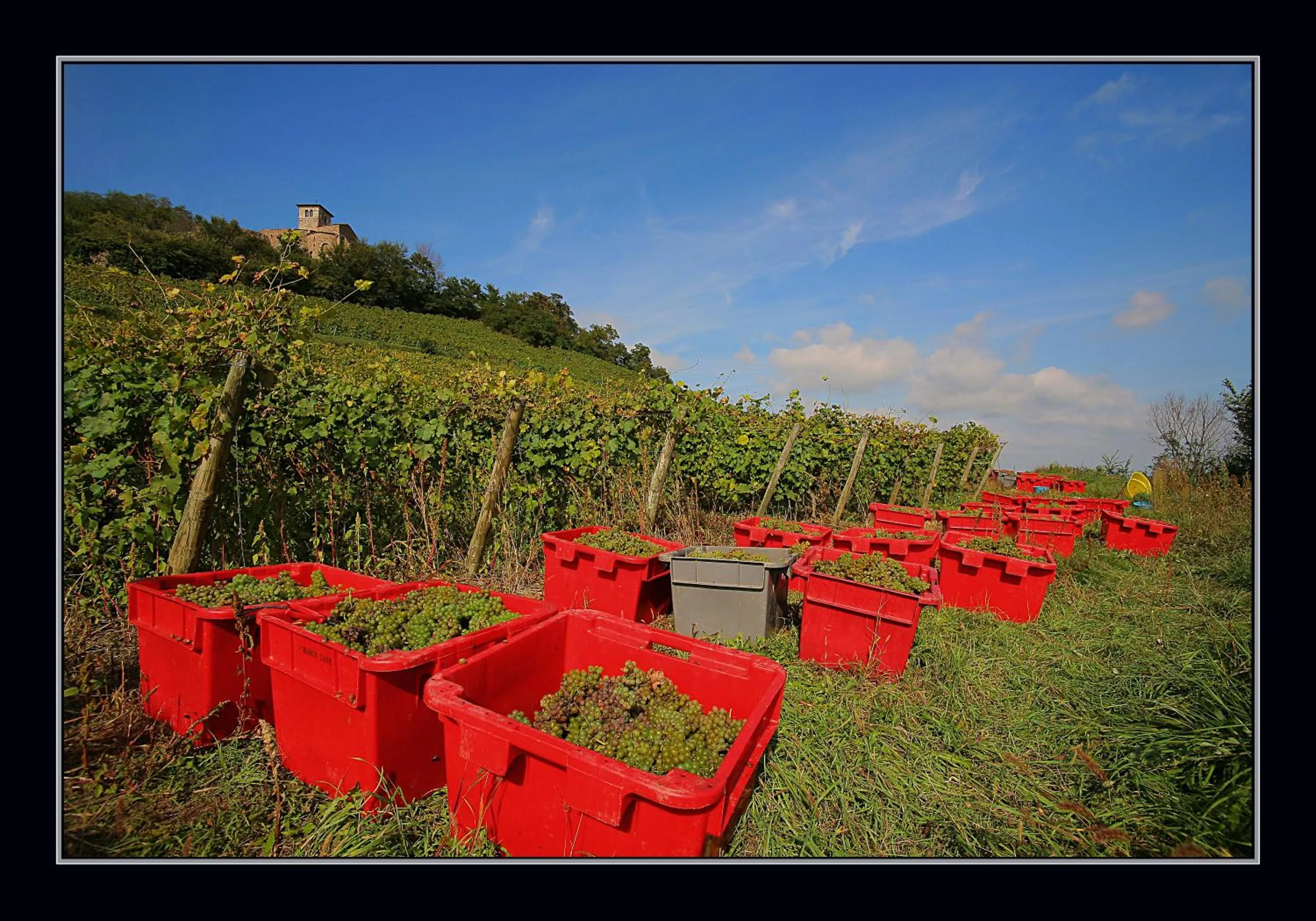 Area and facilities in Les Étoiles Du Forez