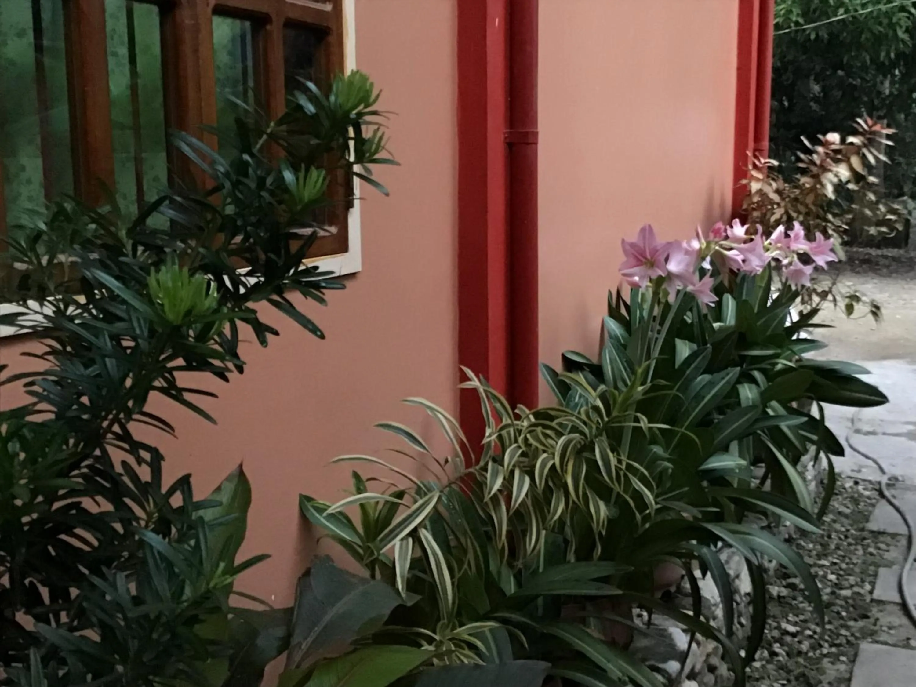 Ferranco Tourist Inn