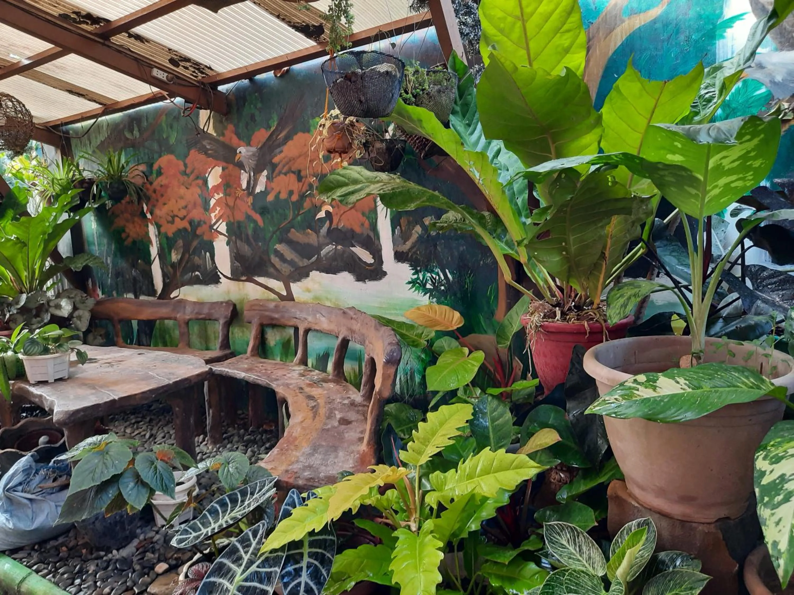 Ferranco Tourist Inn