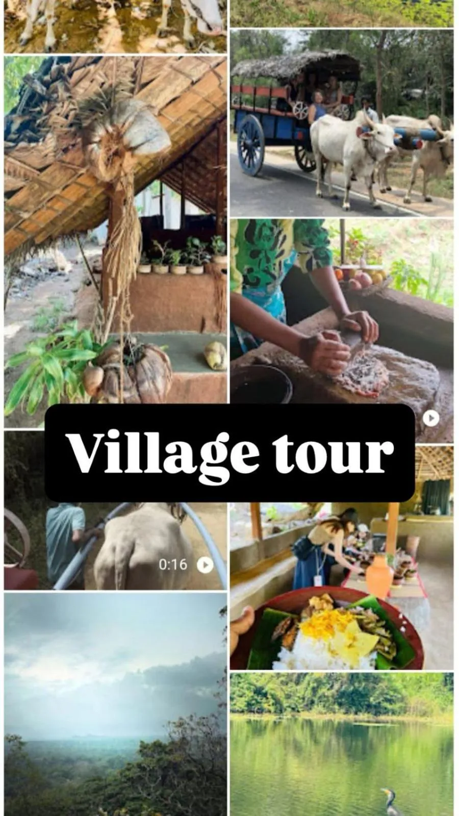 Activities in Amelia Resort