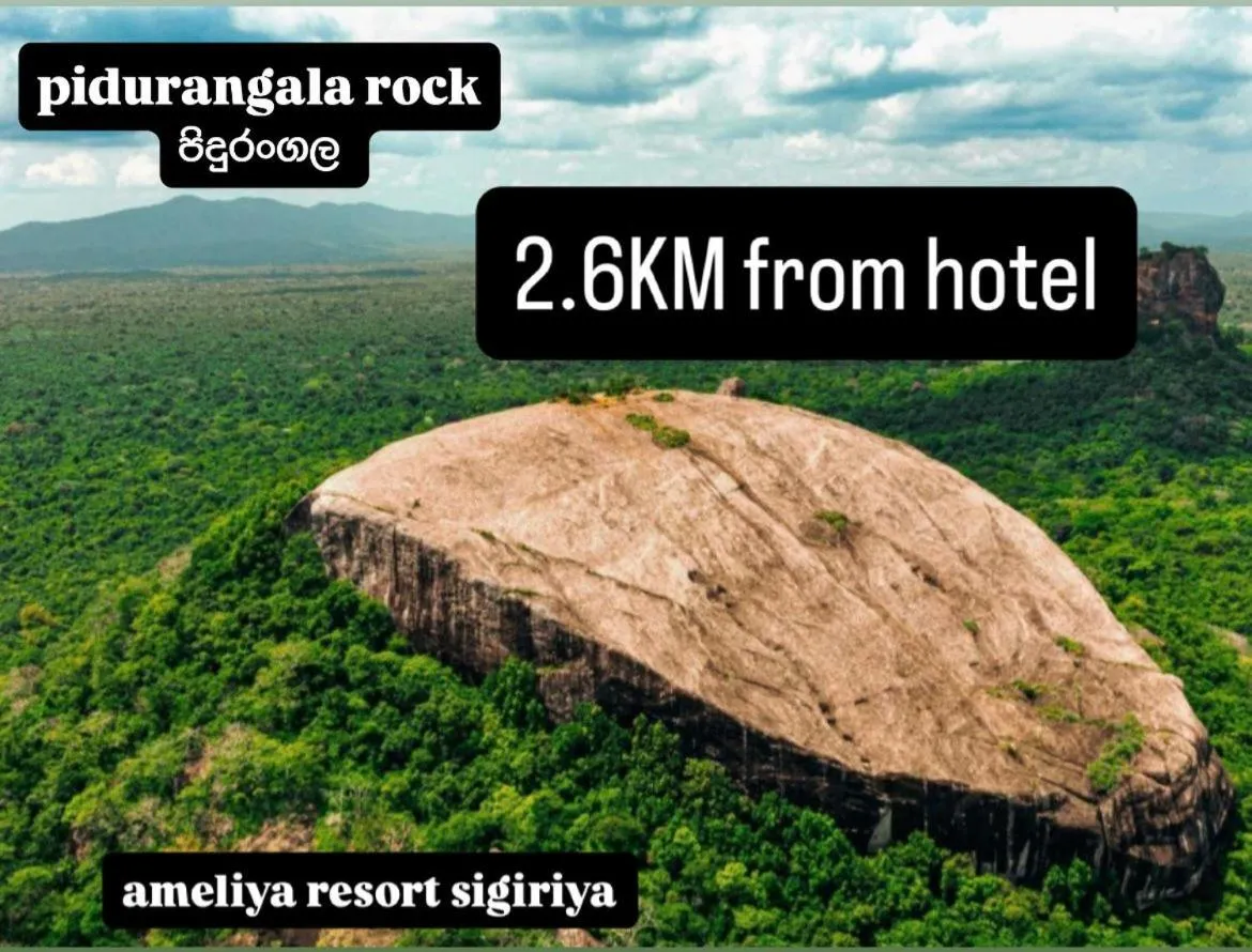 Activities in Amelia Resort