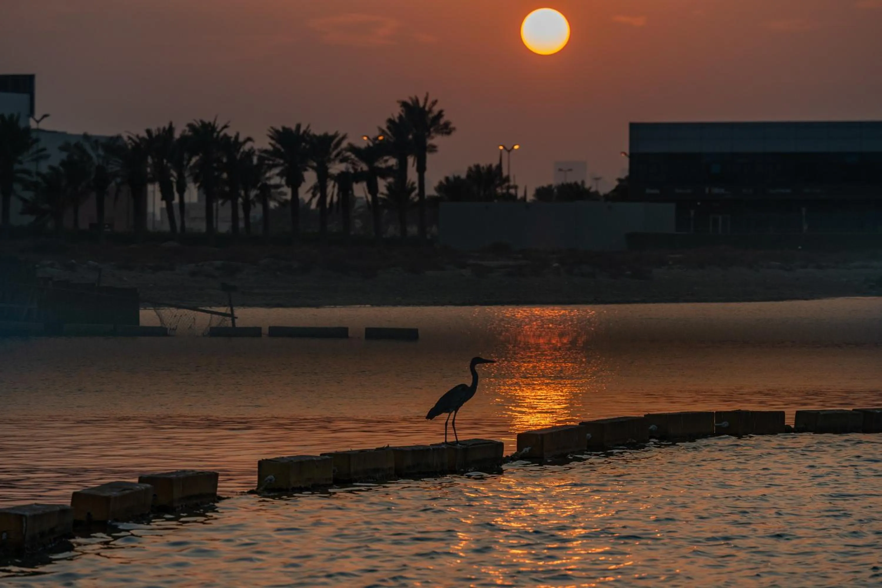 Restaurant/places to eat in The Grove Resort Bahrain