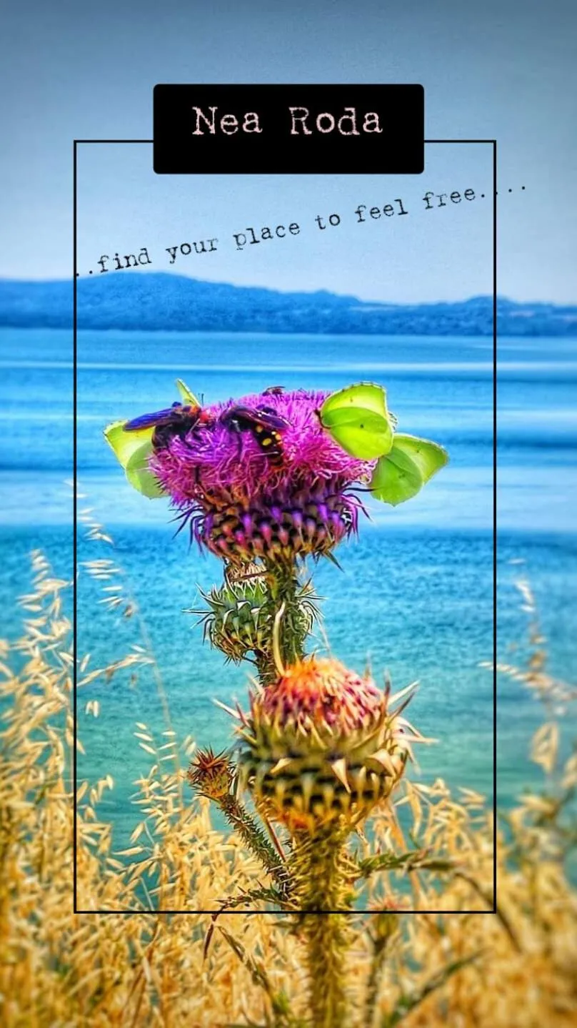 Hiking in Hotel Alexandra