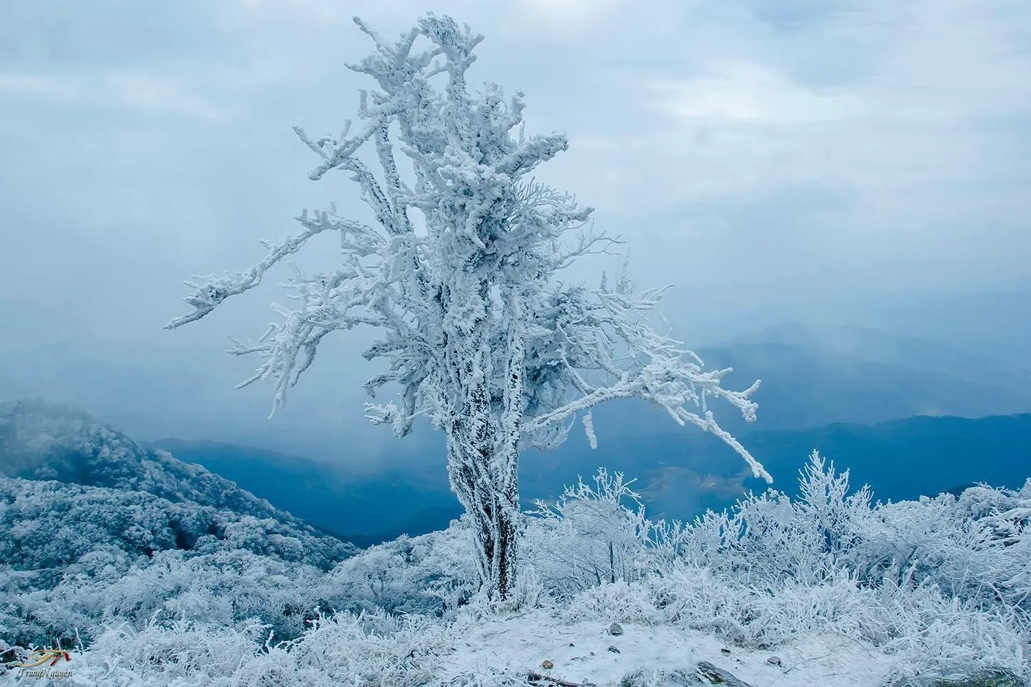 Minh Hoang Hotel & Homestay