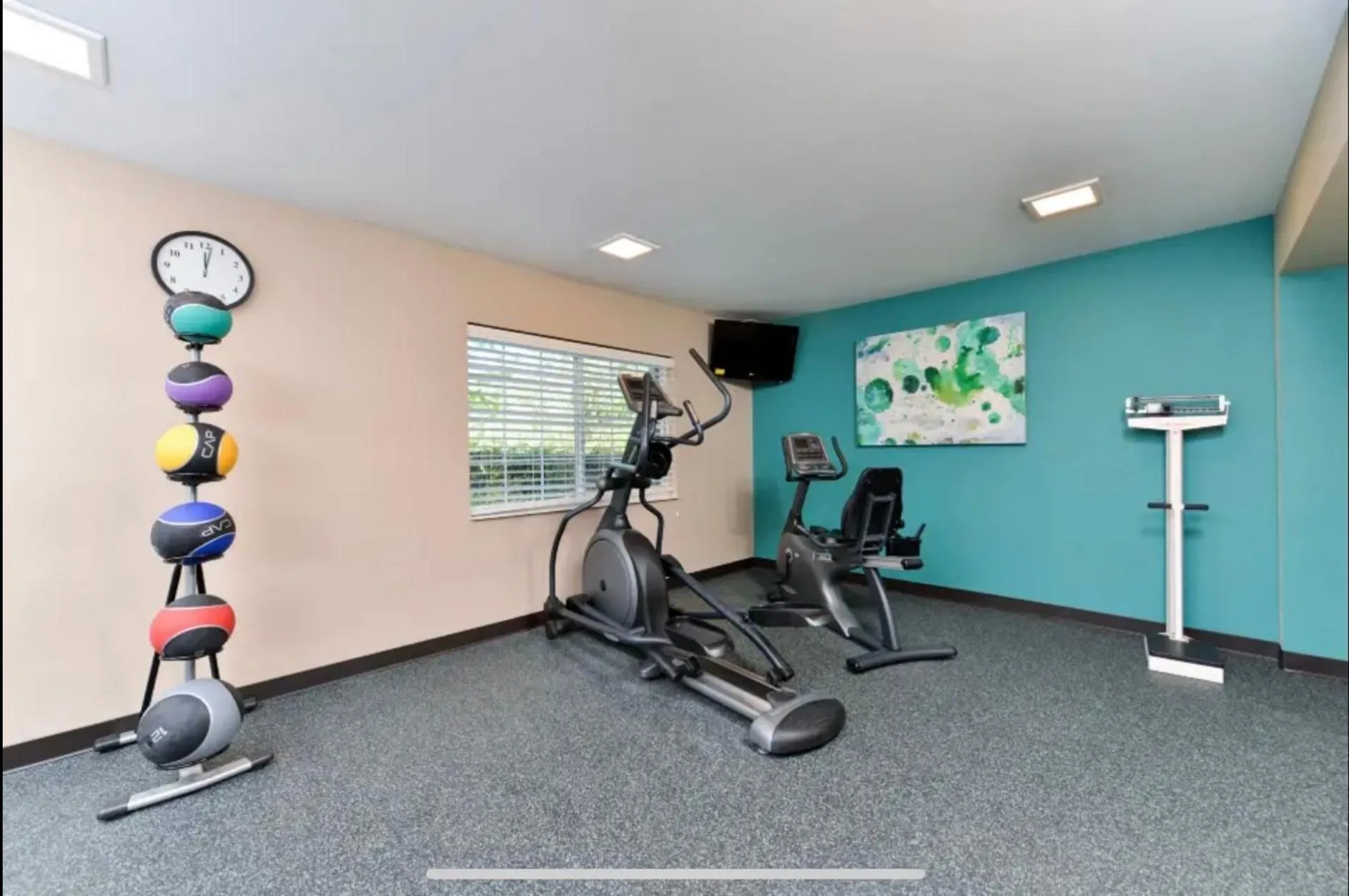 Fitness centre/facilities in Red Roof Inn PLUS & Suites Tampa