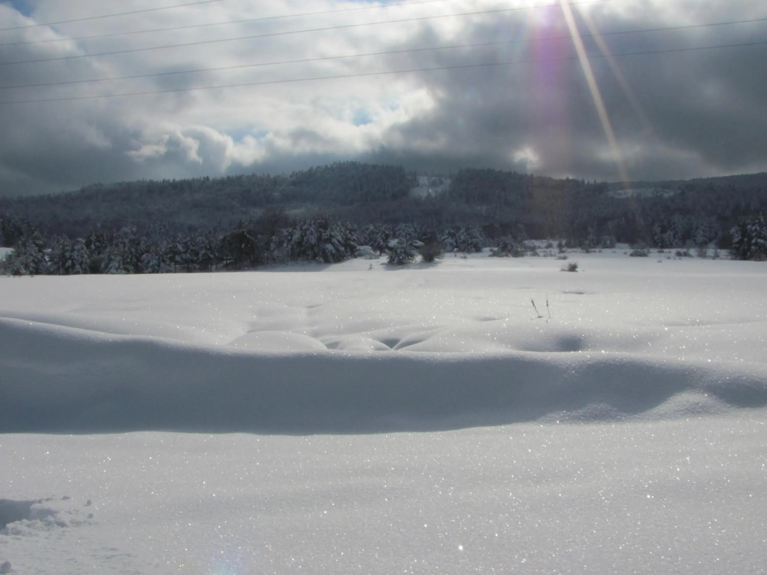 Winter in Family Hotel Eterno