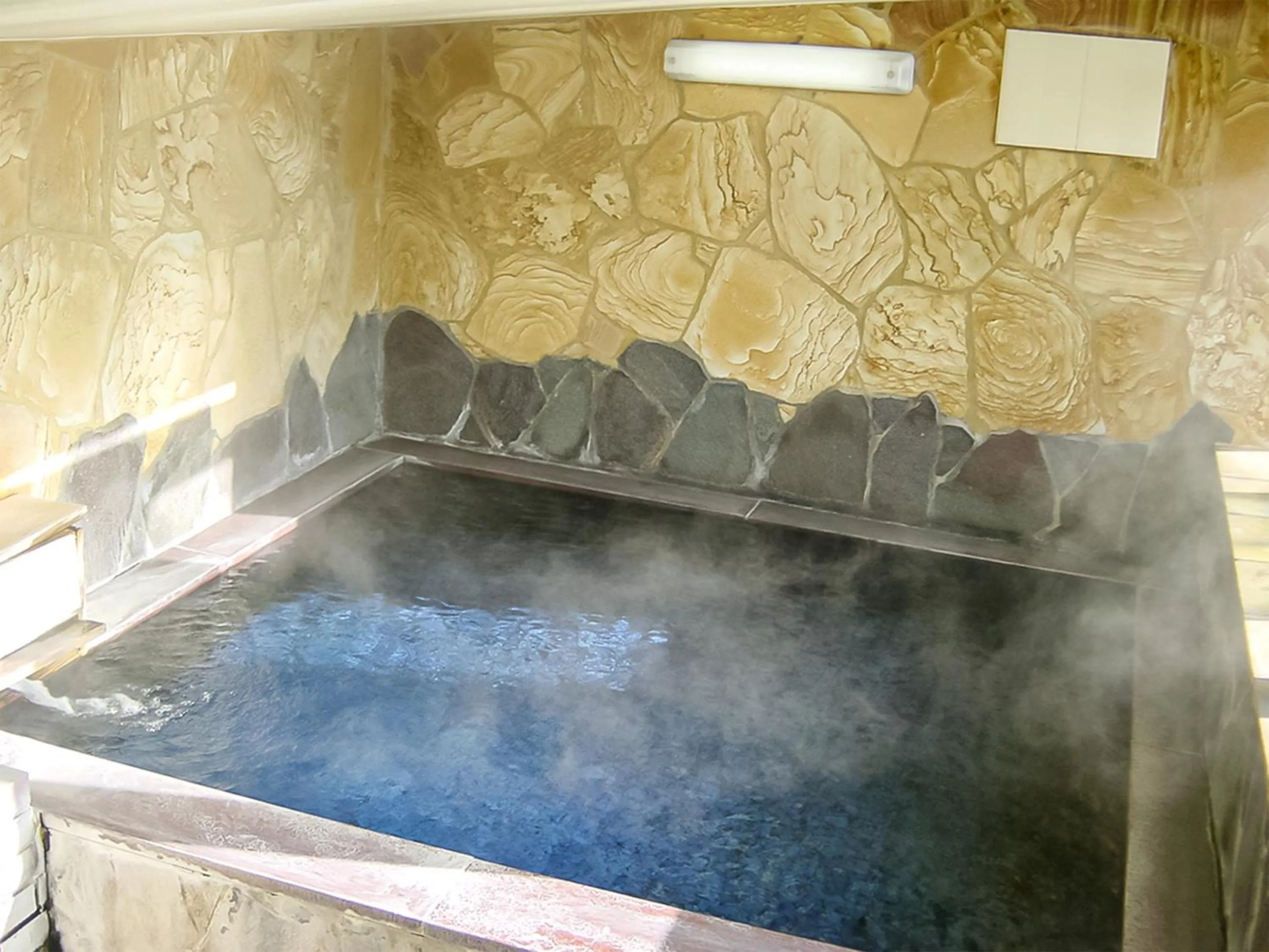 Hot Spring Bath in Pension Kinrinko Toyonokuni