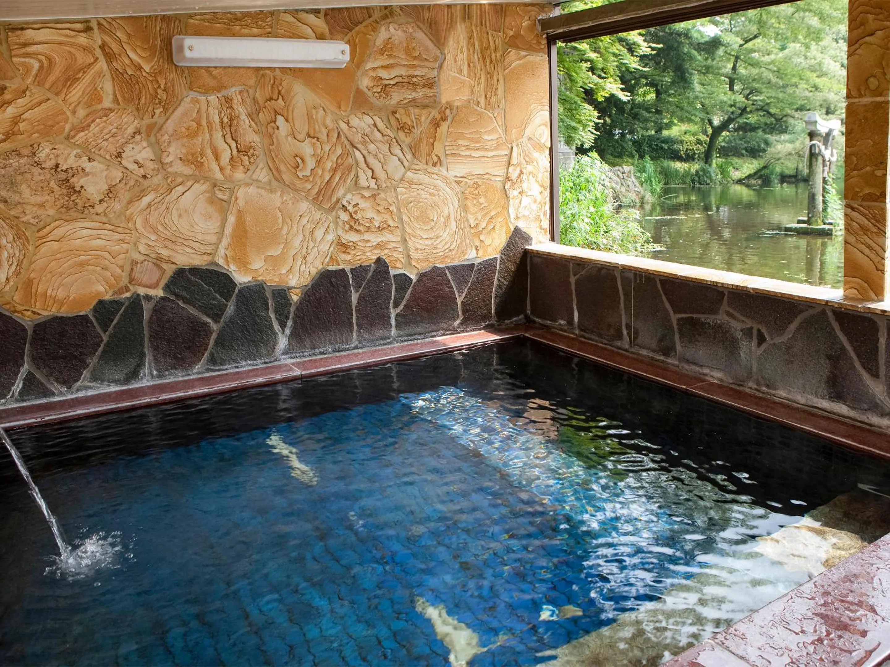 Hot Spring Bath in Pension Kinrinko Toyonokuni