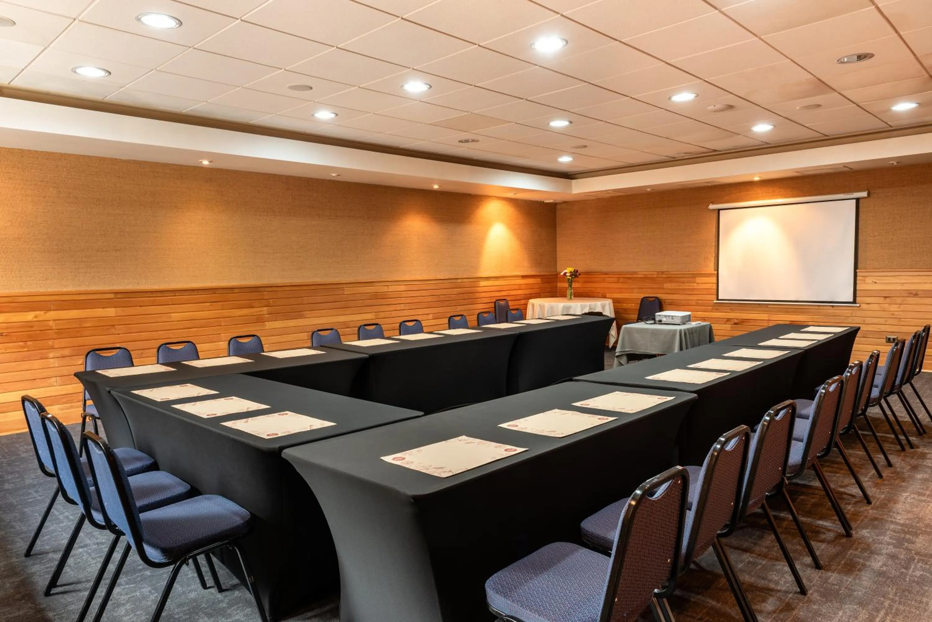 Meeting/conference room in Hotel Puelche