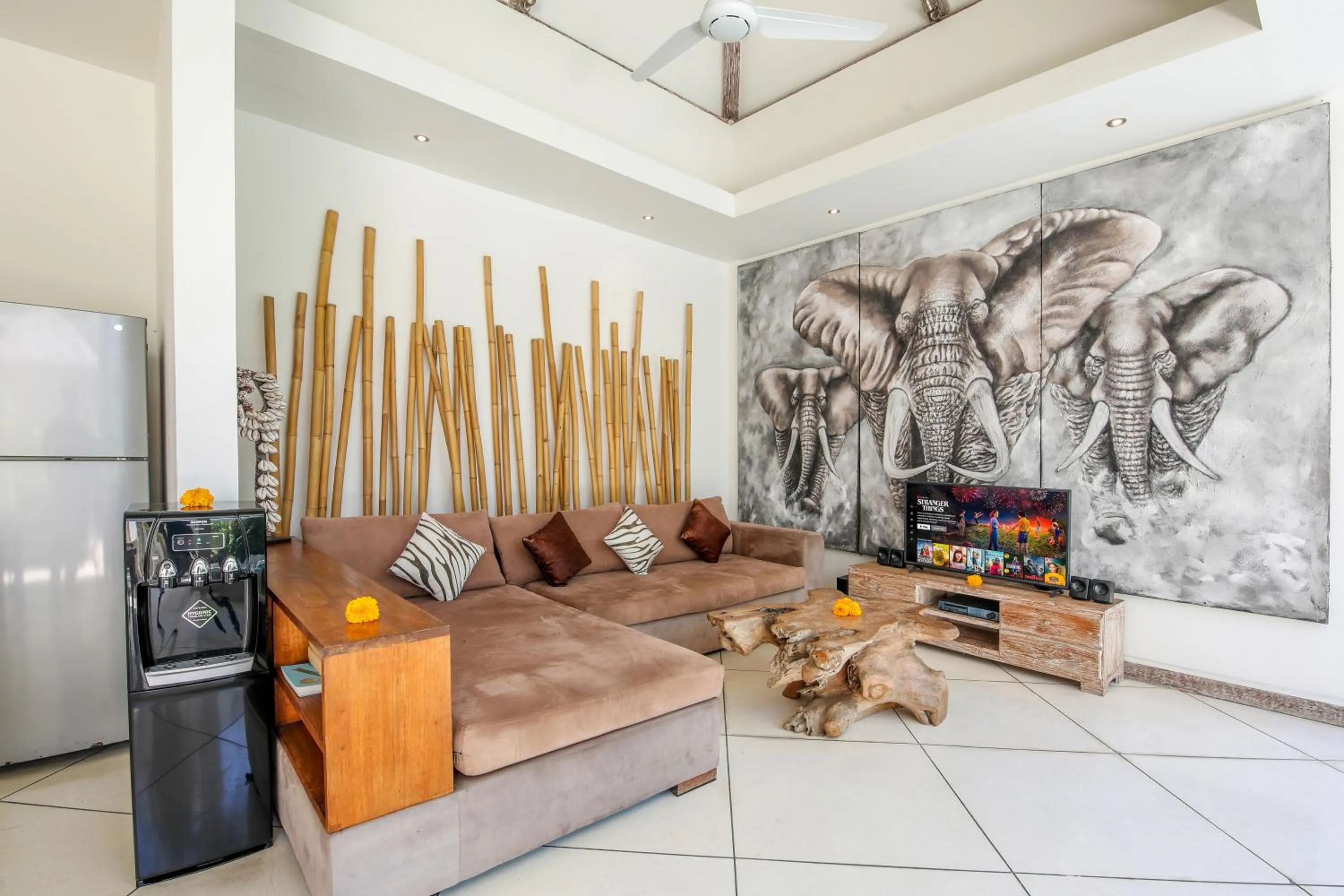 TV and multimedia in Villa Safari