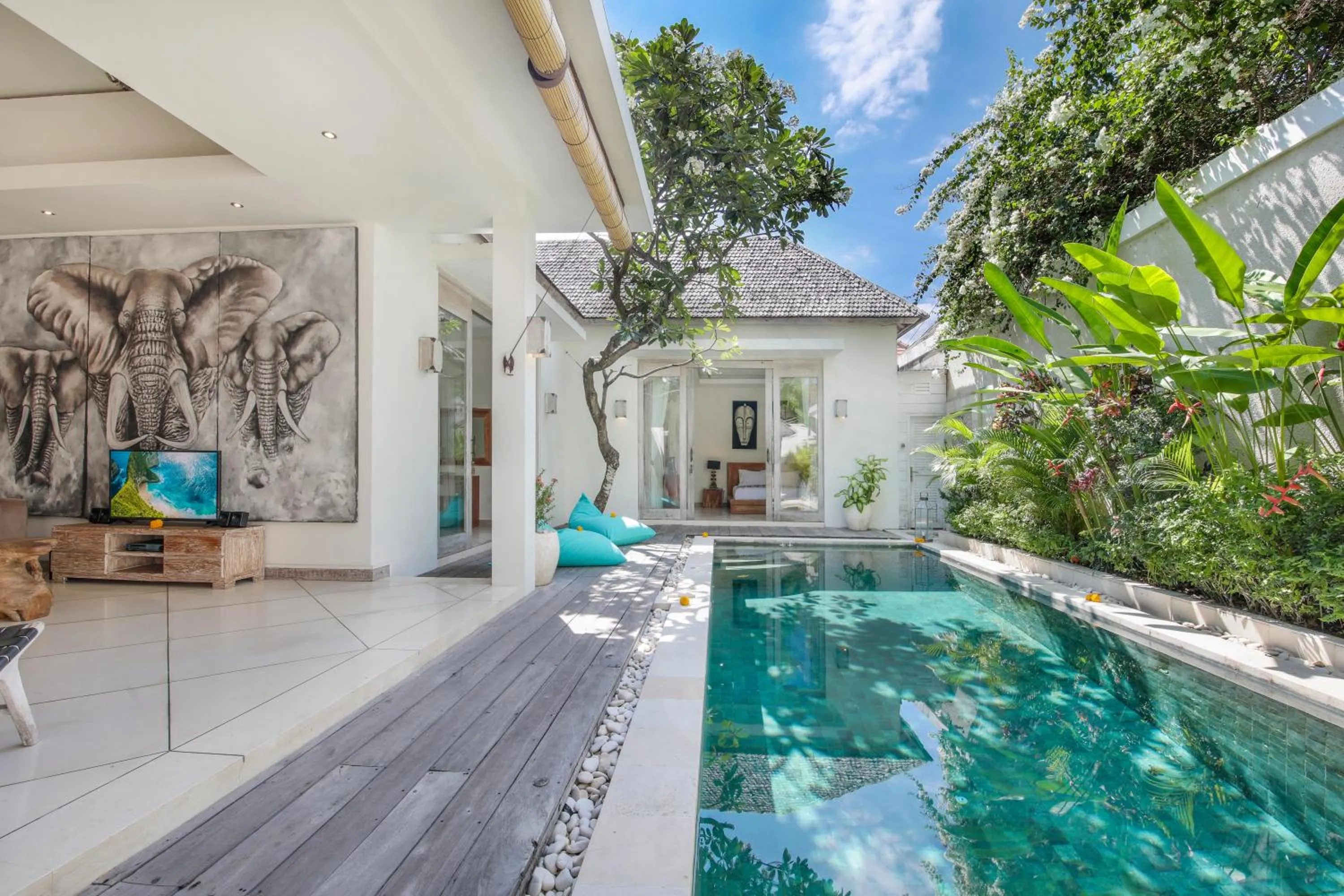 Swimming pool in Villa Safari