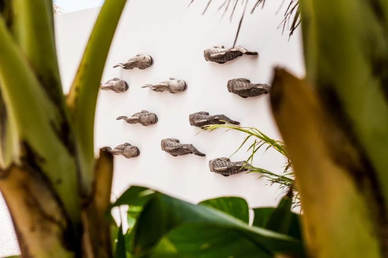 Area and facilities in Veli Vilaa