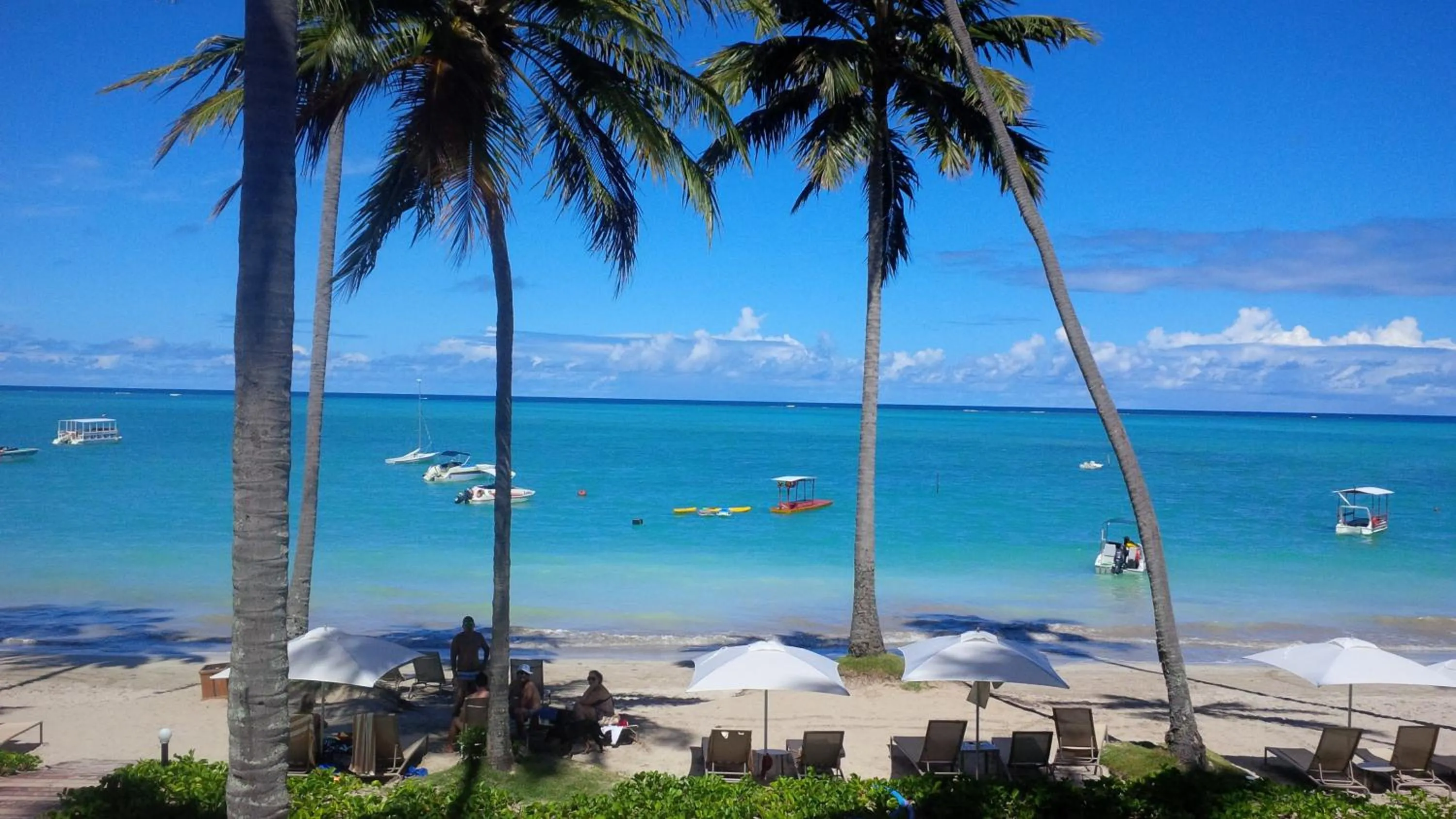 Beach in Grand Oca Maragogi All Inclusive Resort
