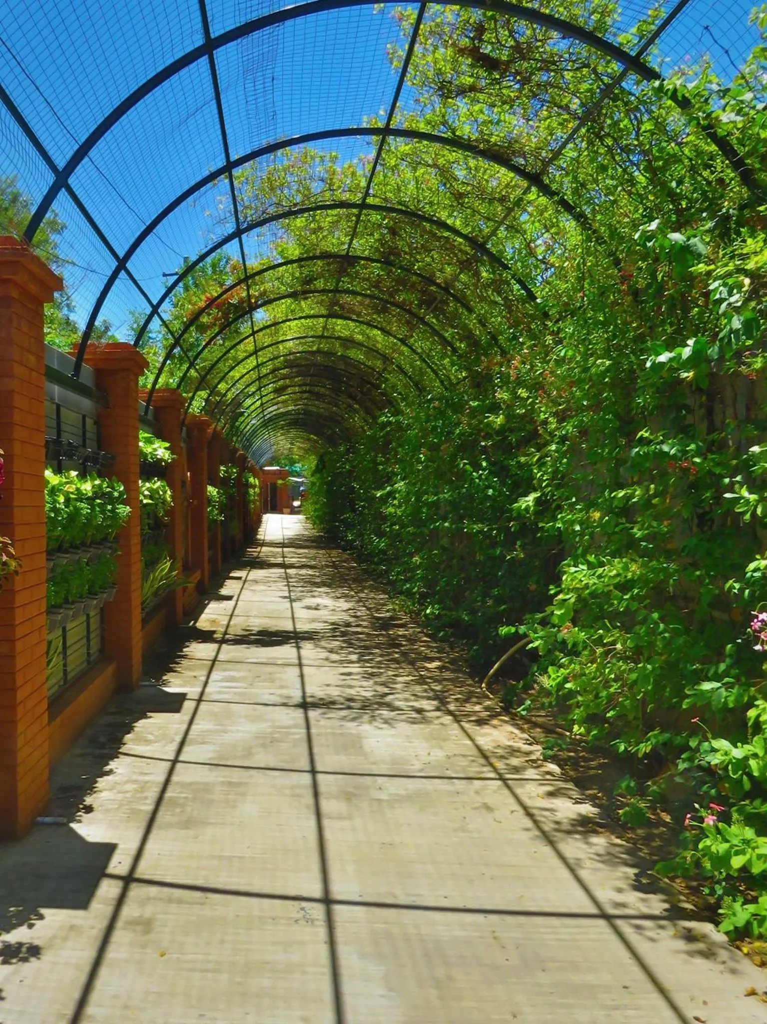 Garden in Heritage Bagan Hotel