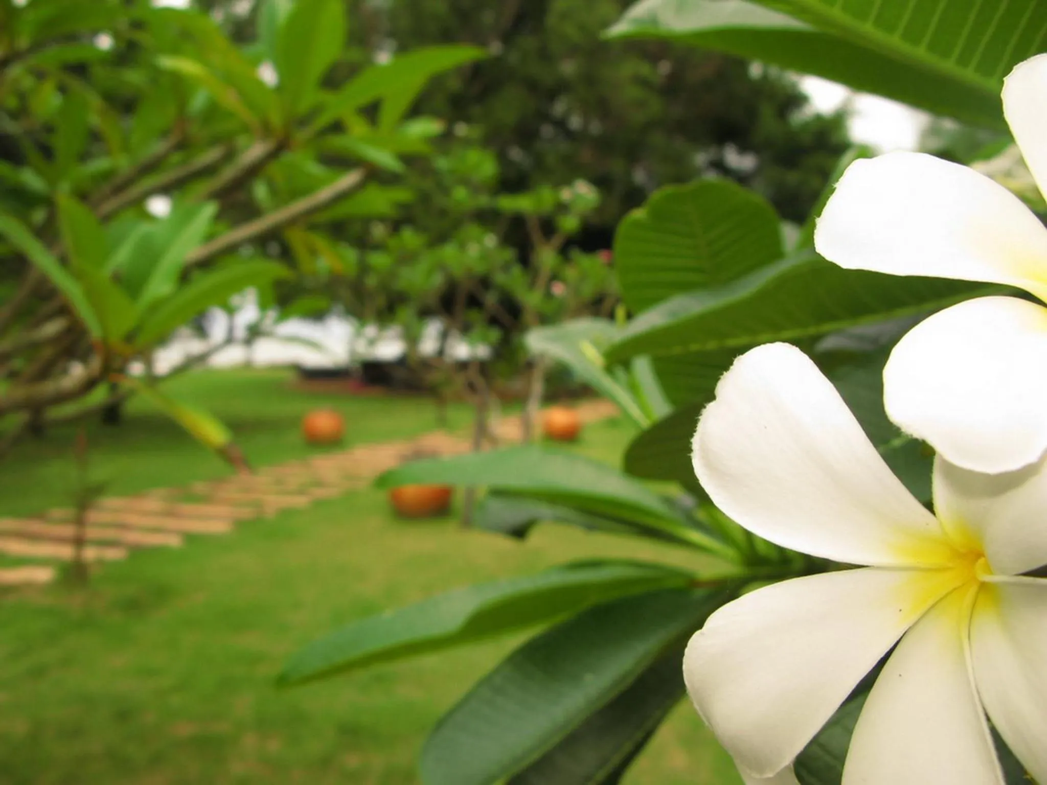 Other in Baan Imm Sook Resort