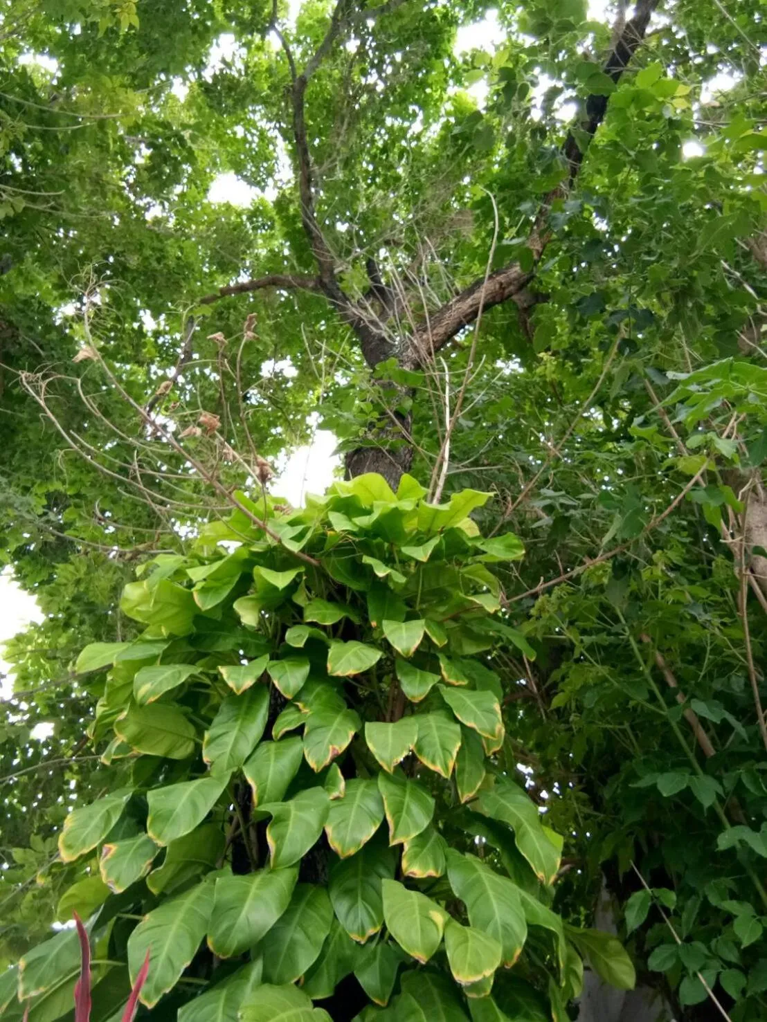 Property building in Sor Kor Sor Resort