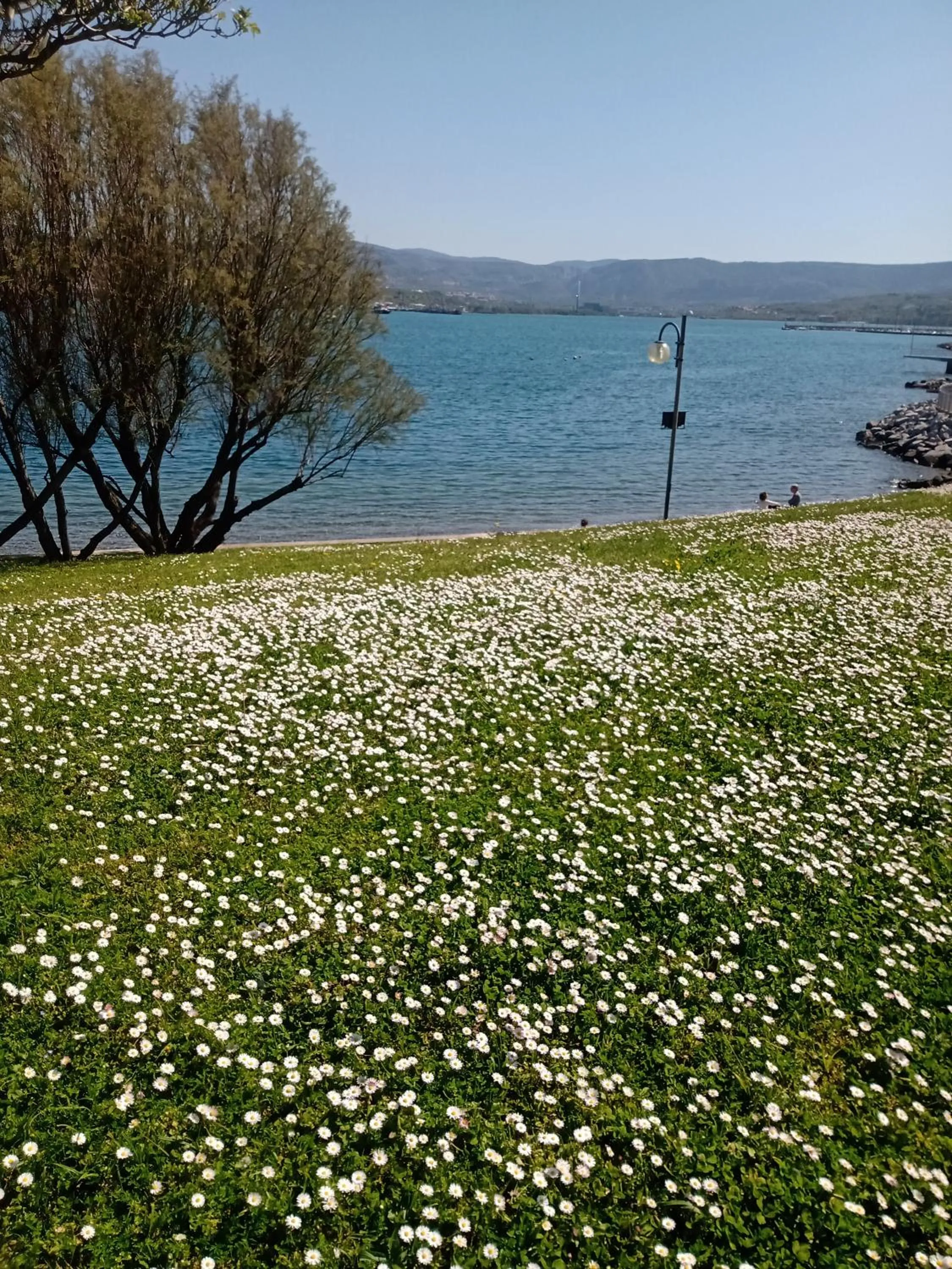 Sea view in Appartamento Nerio