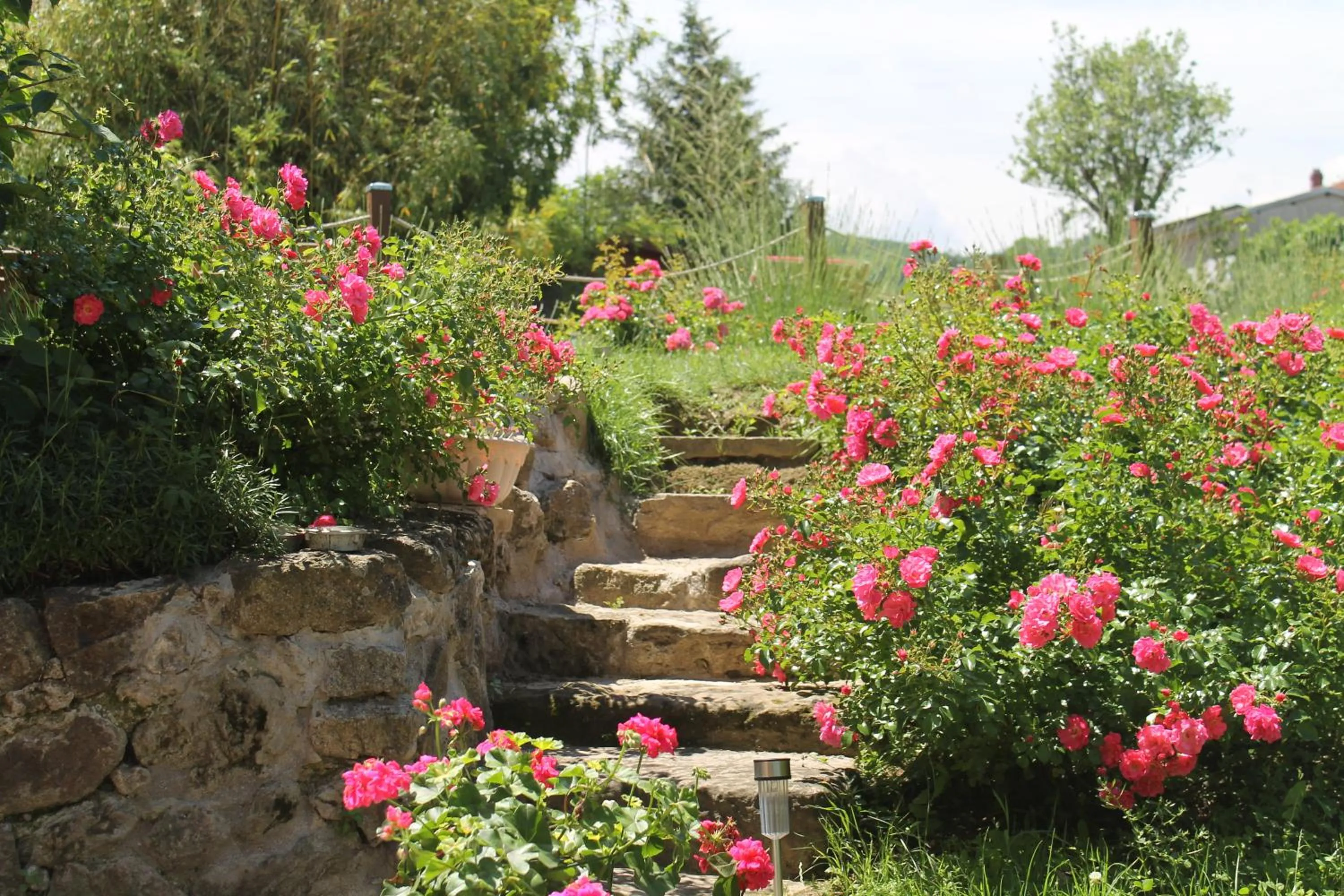 Garden in Hôtel Restaurant La Désirade
