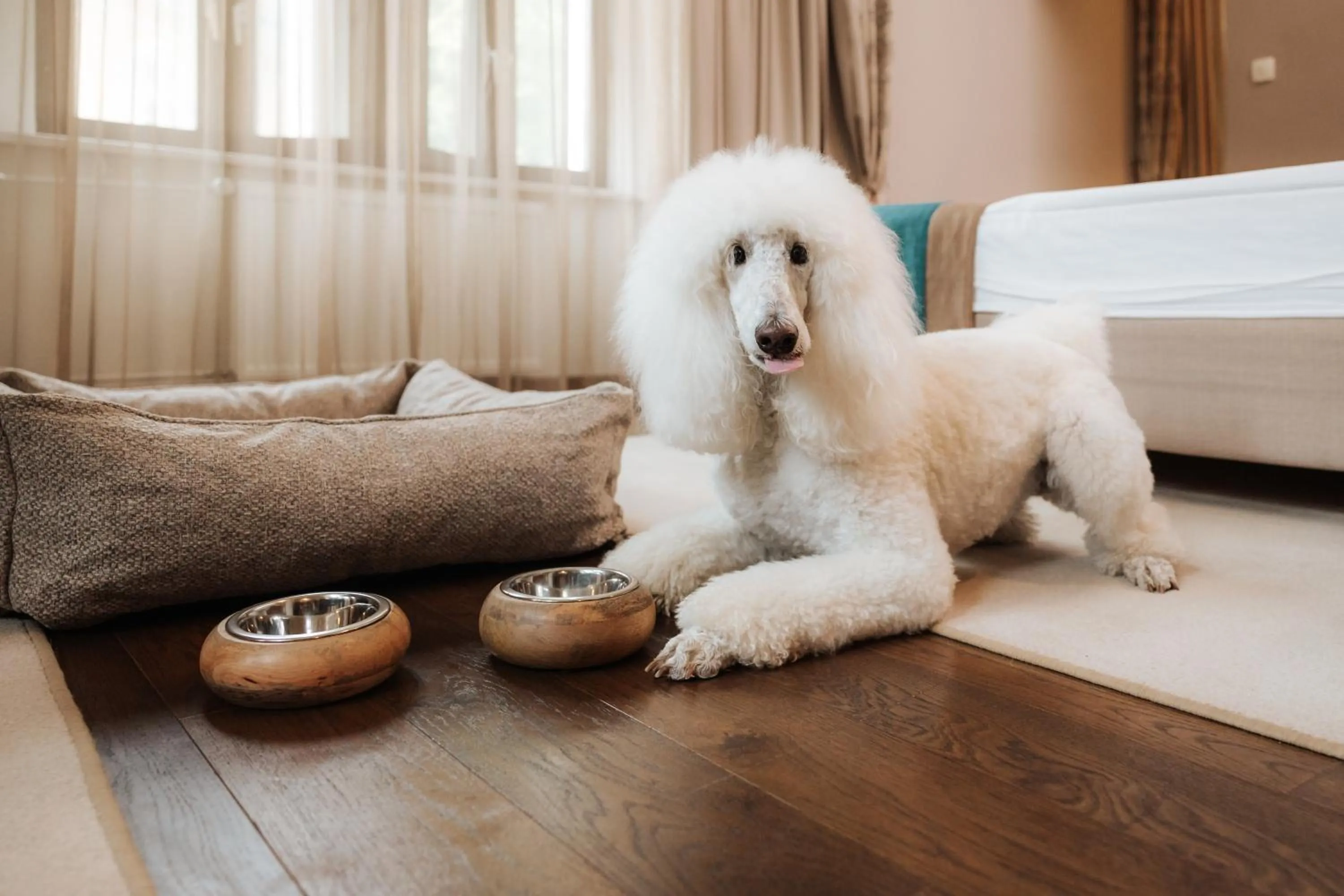 Hotel Zagreb - Health & Beauty