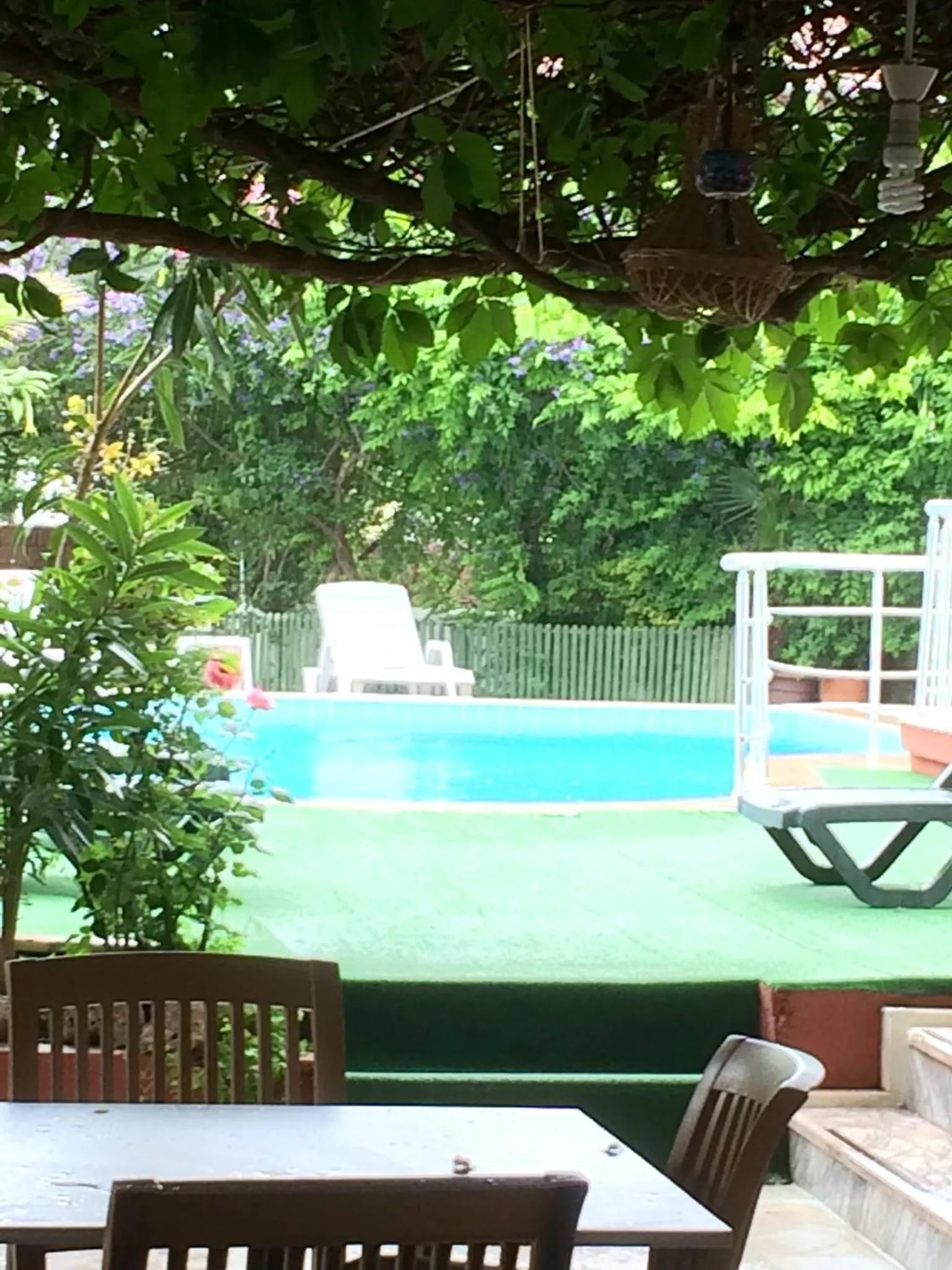 Garden in Yakut Apart Hotel