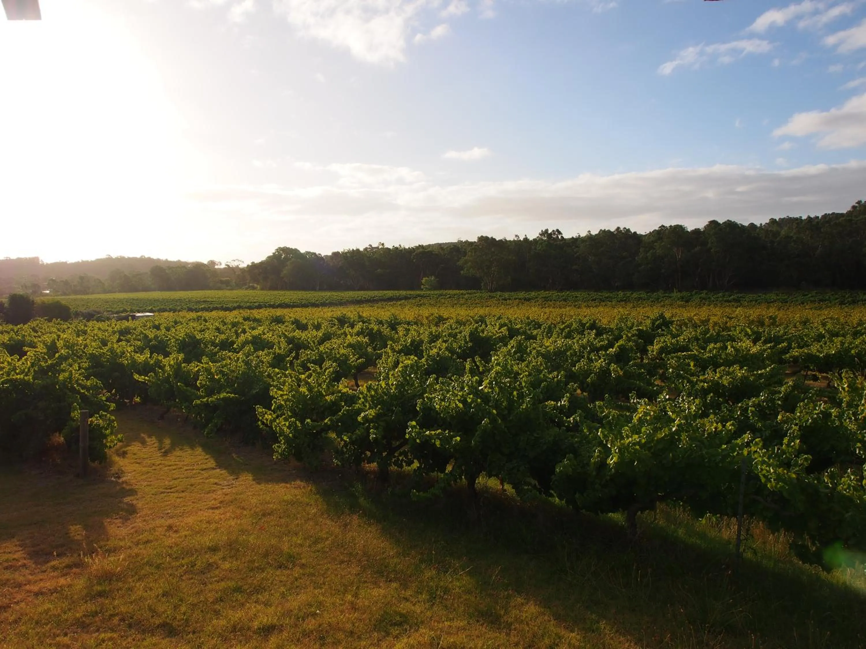 Bed & Breakfast at Tiffany's