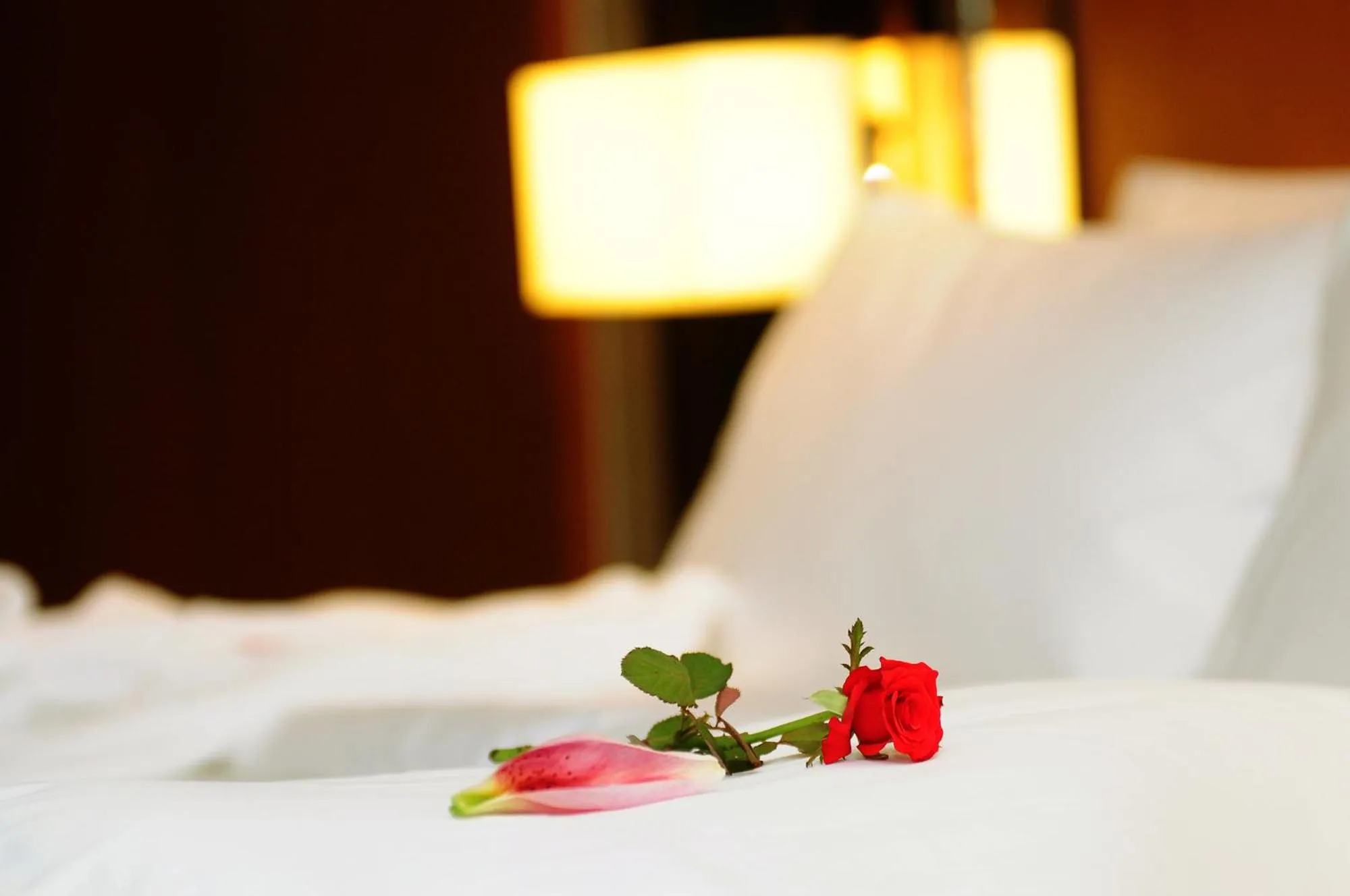 Bed in Airport Jianguo Hotel