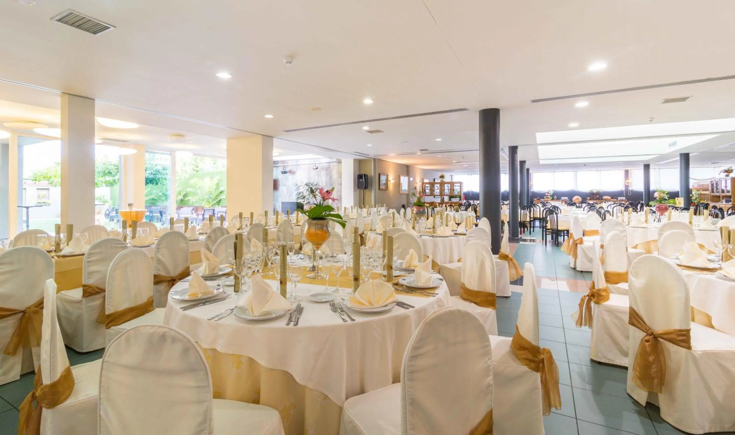 Restaurant/places to eat in El Patio