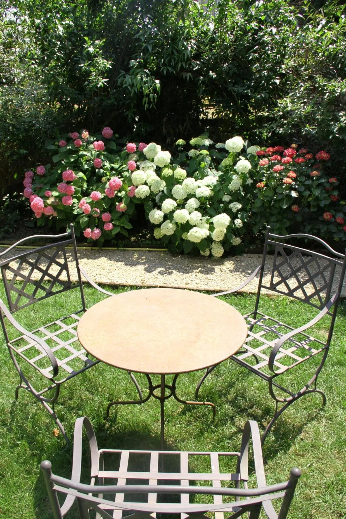 Garden in Ombre Rose