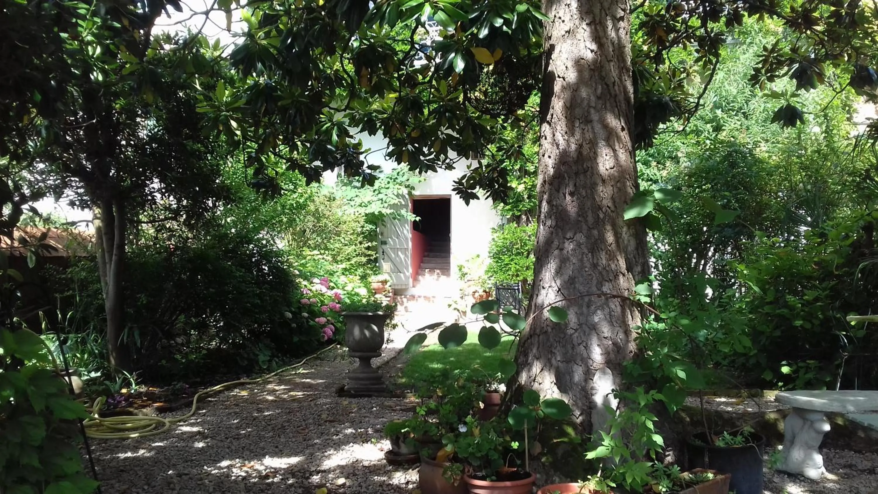 Garden in Ombre Rose