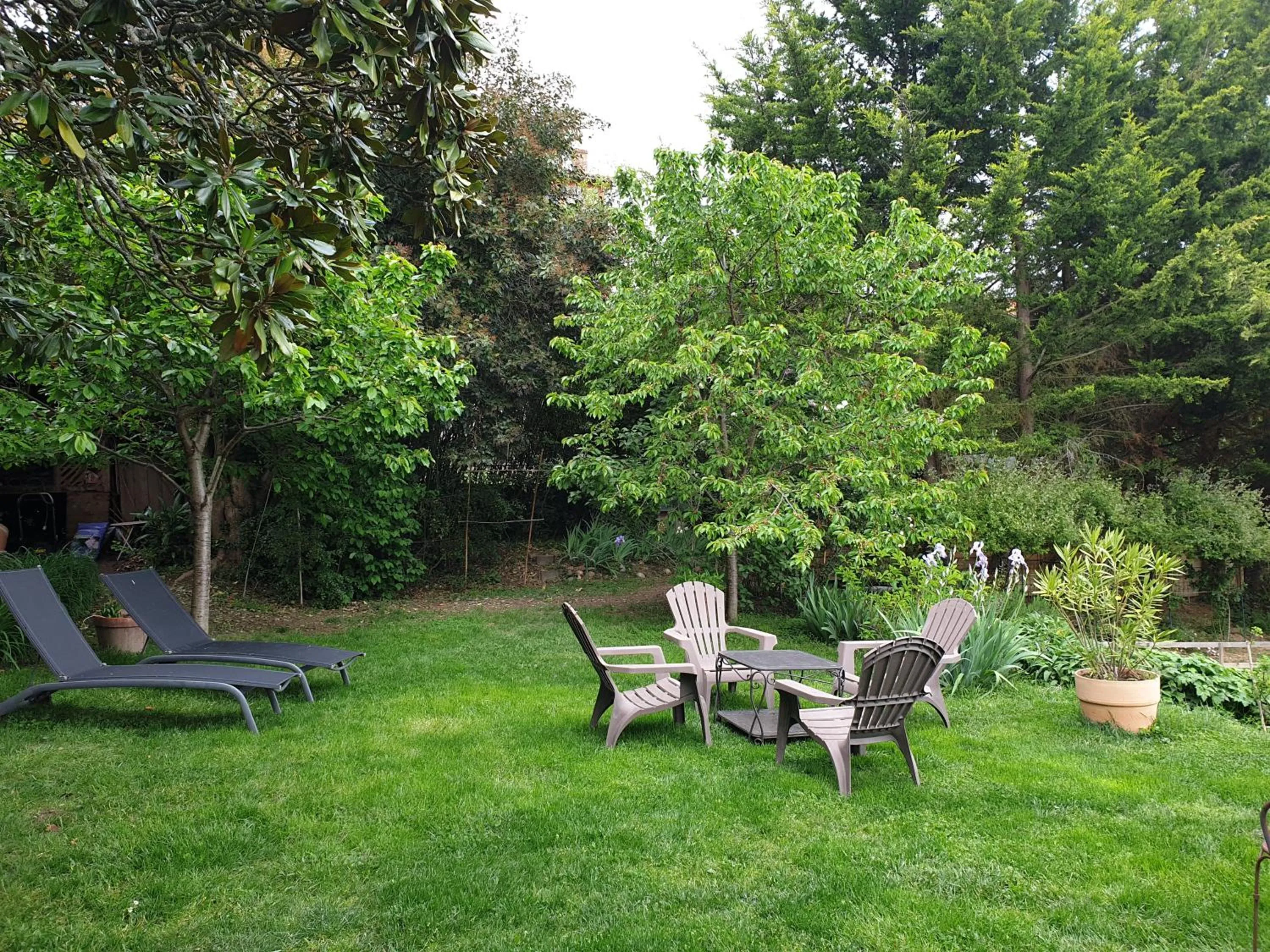 Garden in Ombre Rose