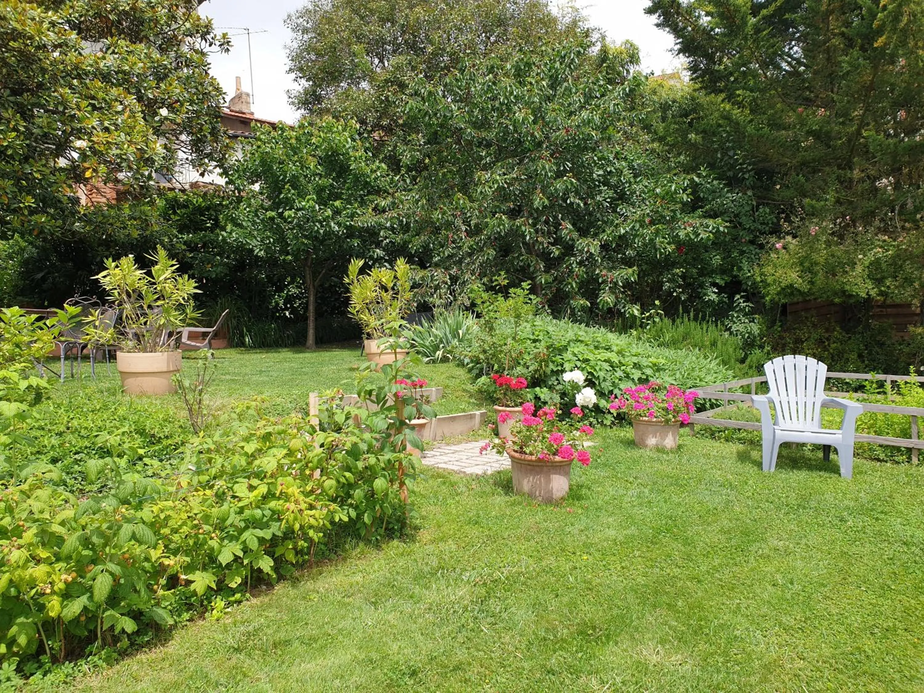 Garden in Ombre Rose