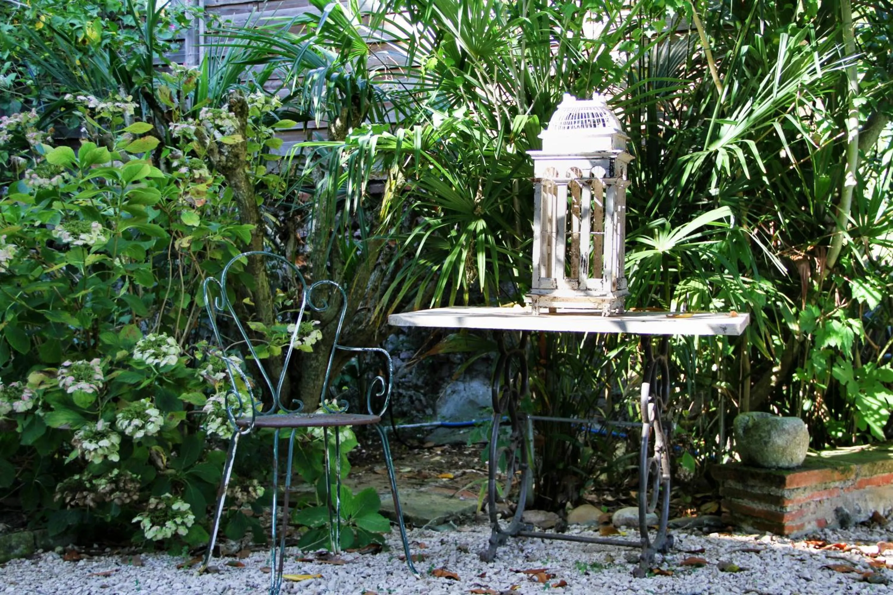 Garden in Ombre Rose