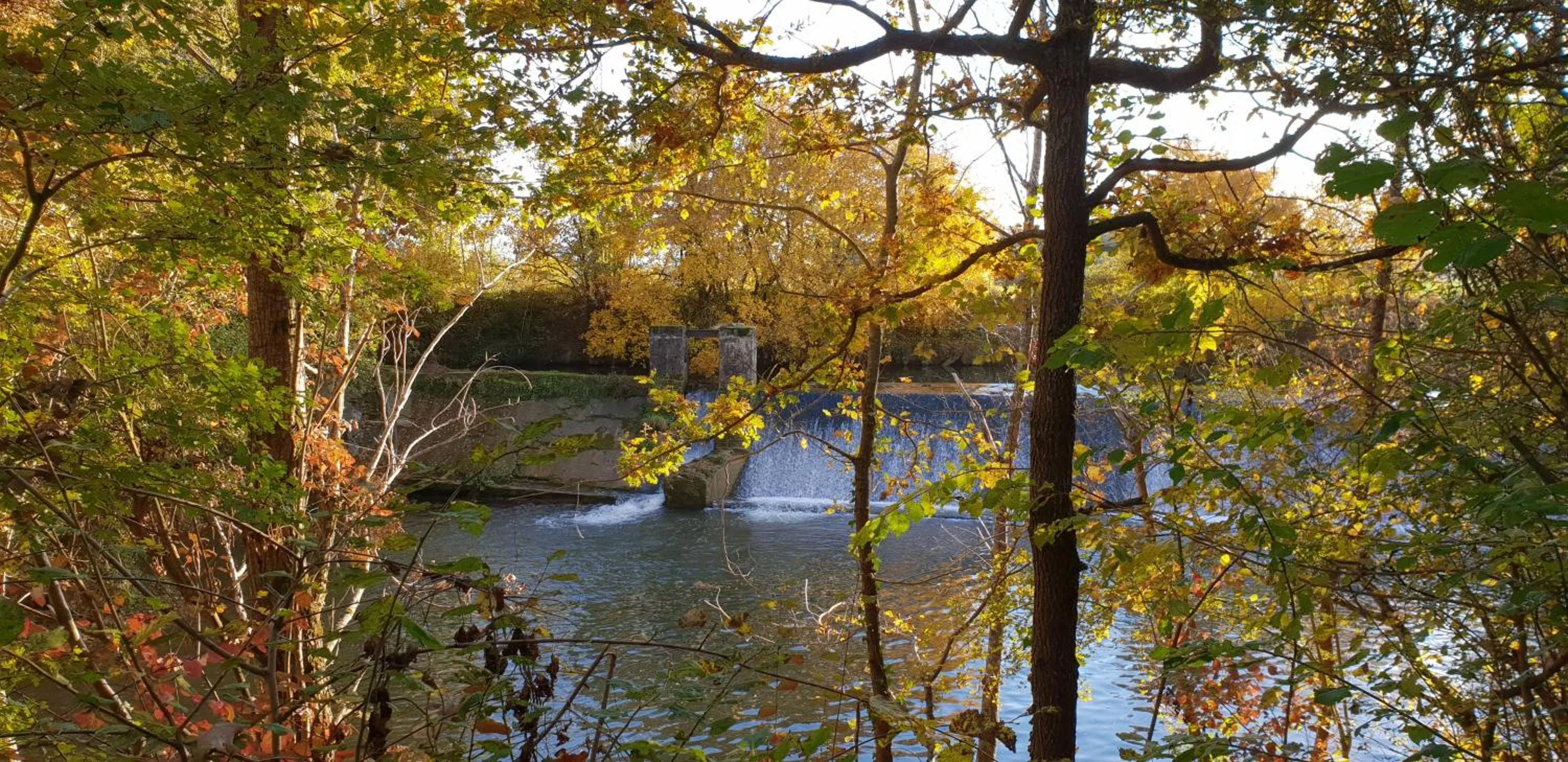 Nearby landmark in Ombre Rose
