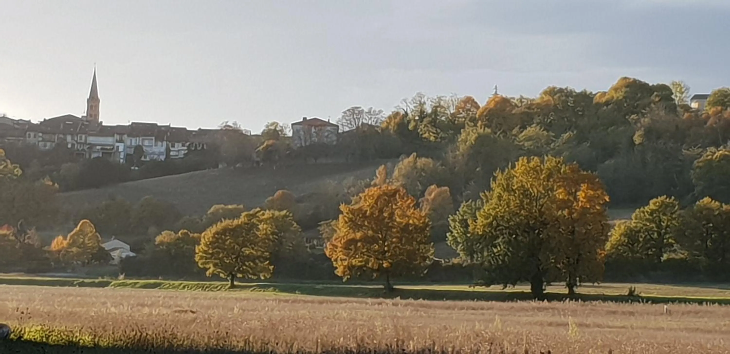 City view in Ombre Rose