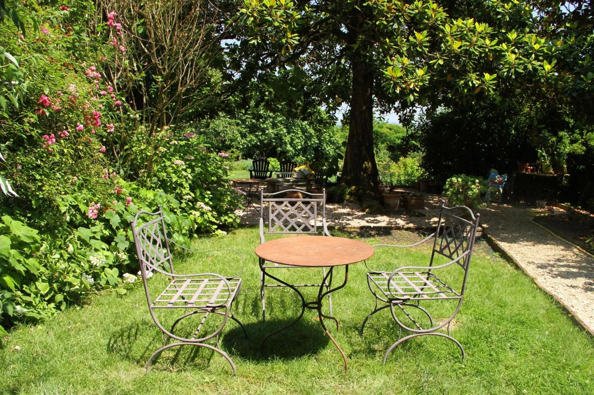 Garden in Ombre Rose