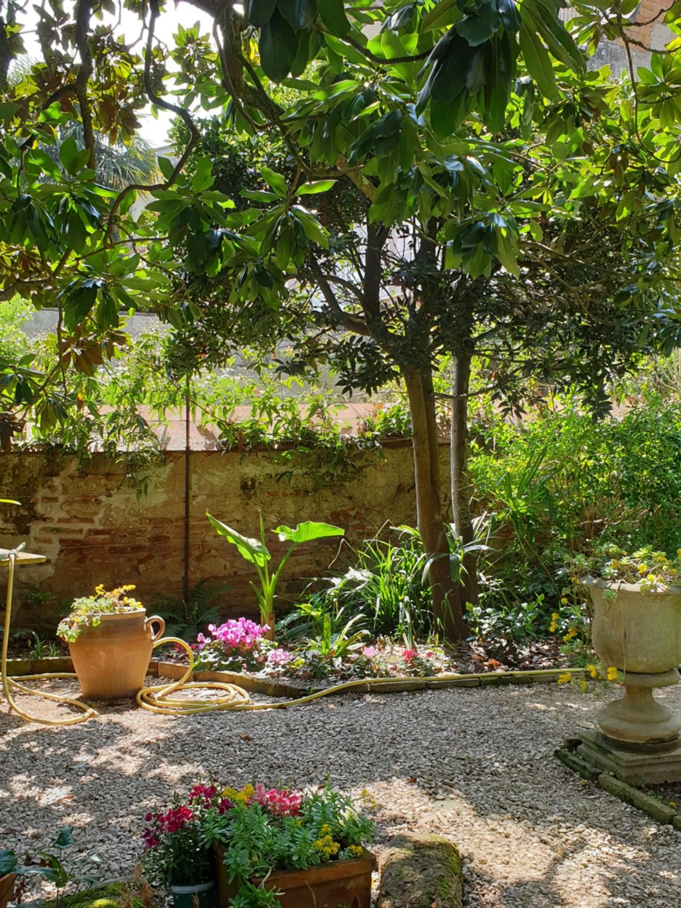 Garden in Ombre Rose