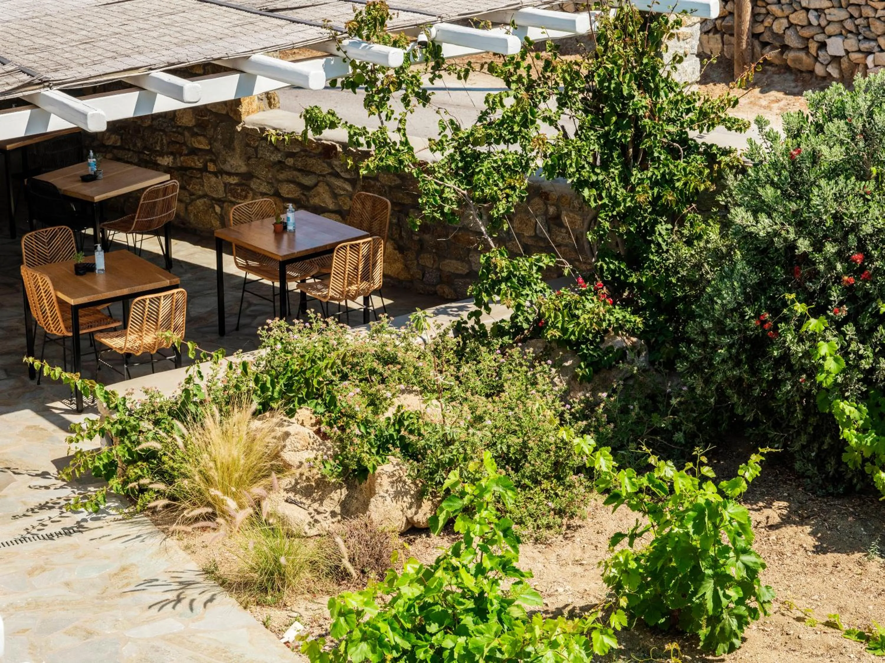 Garden in Jason Hotel