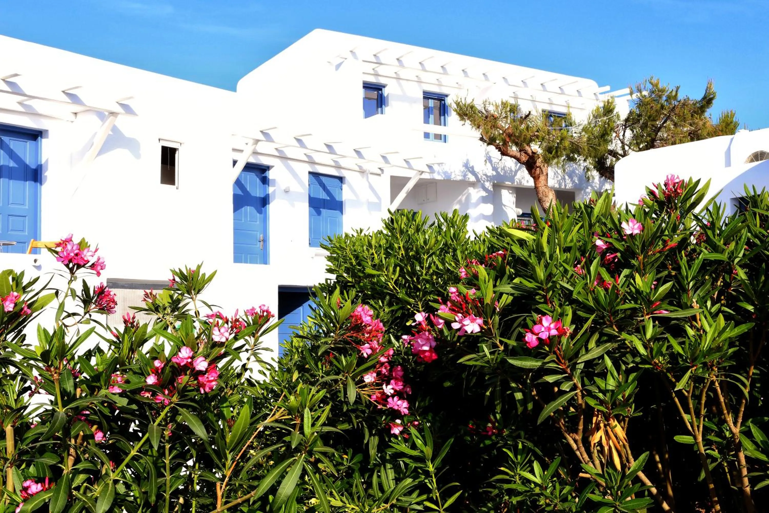 Garden in Jason Hotel