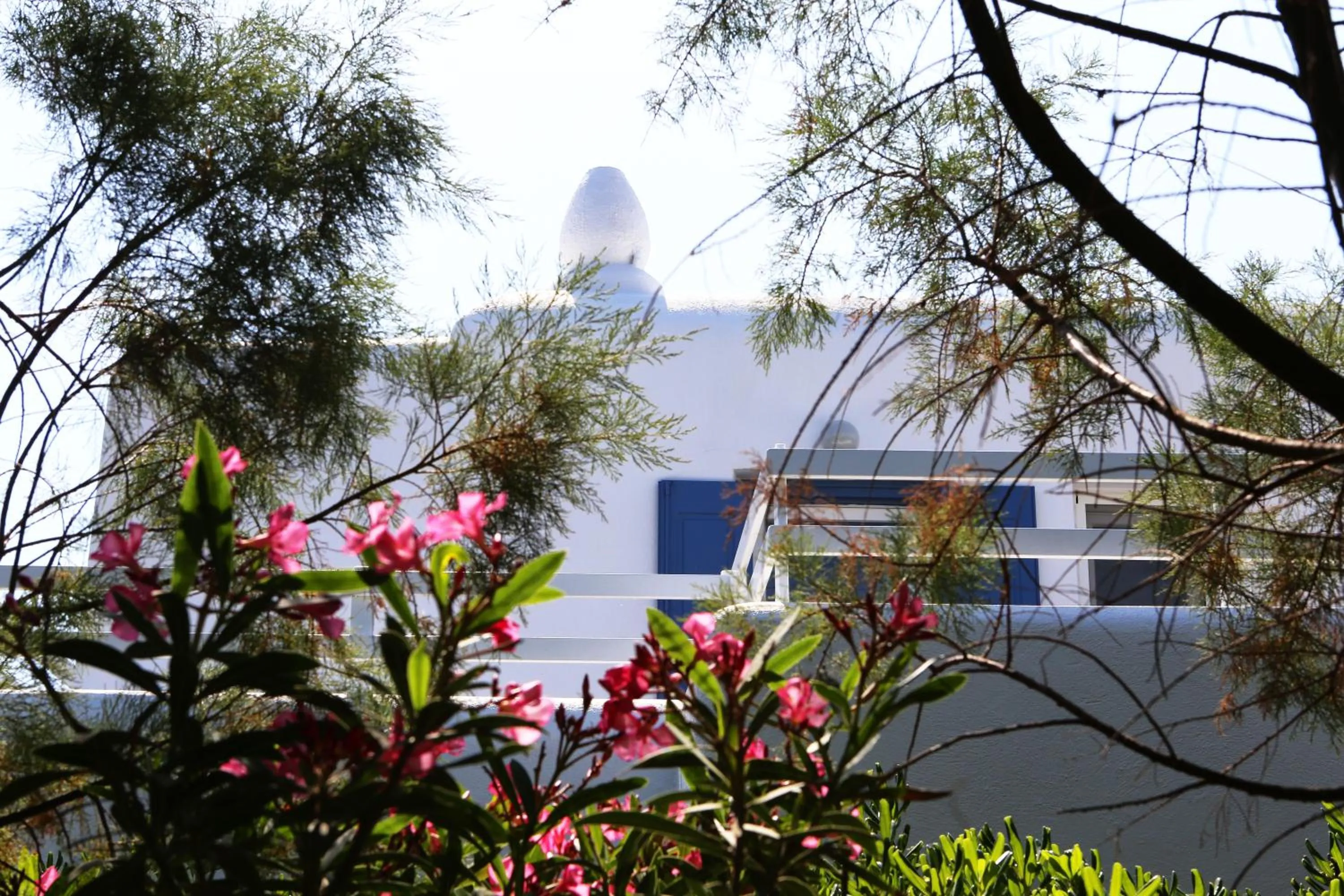 Balcony/Terrace in Jason Hotel