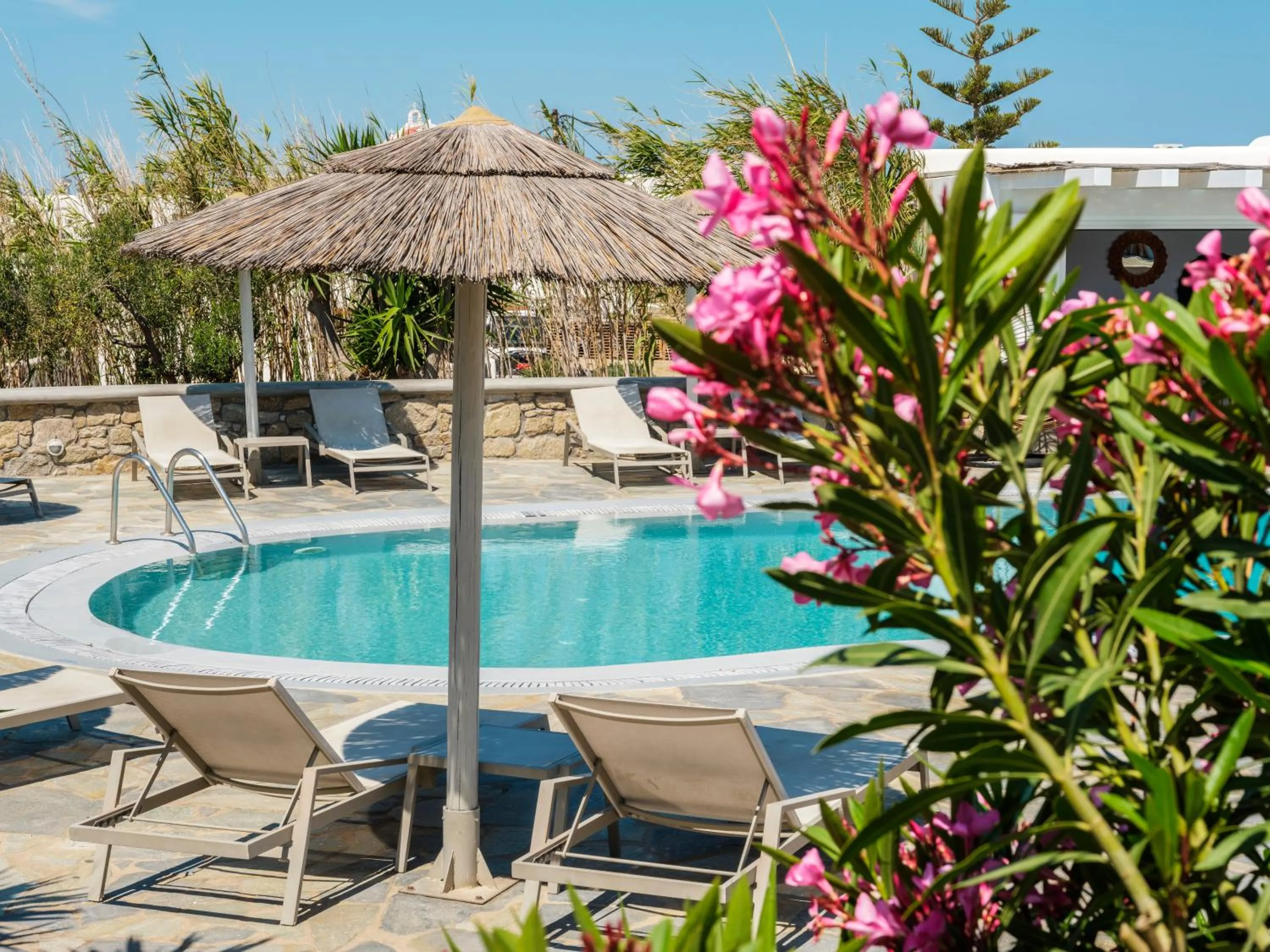 Garden in Jason Hotel