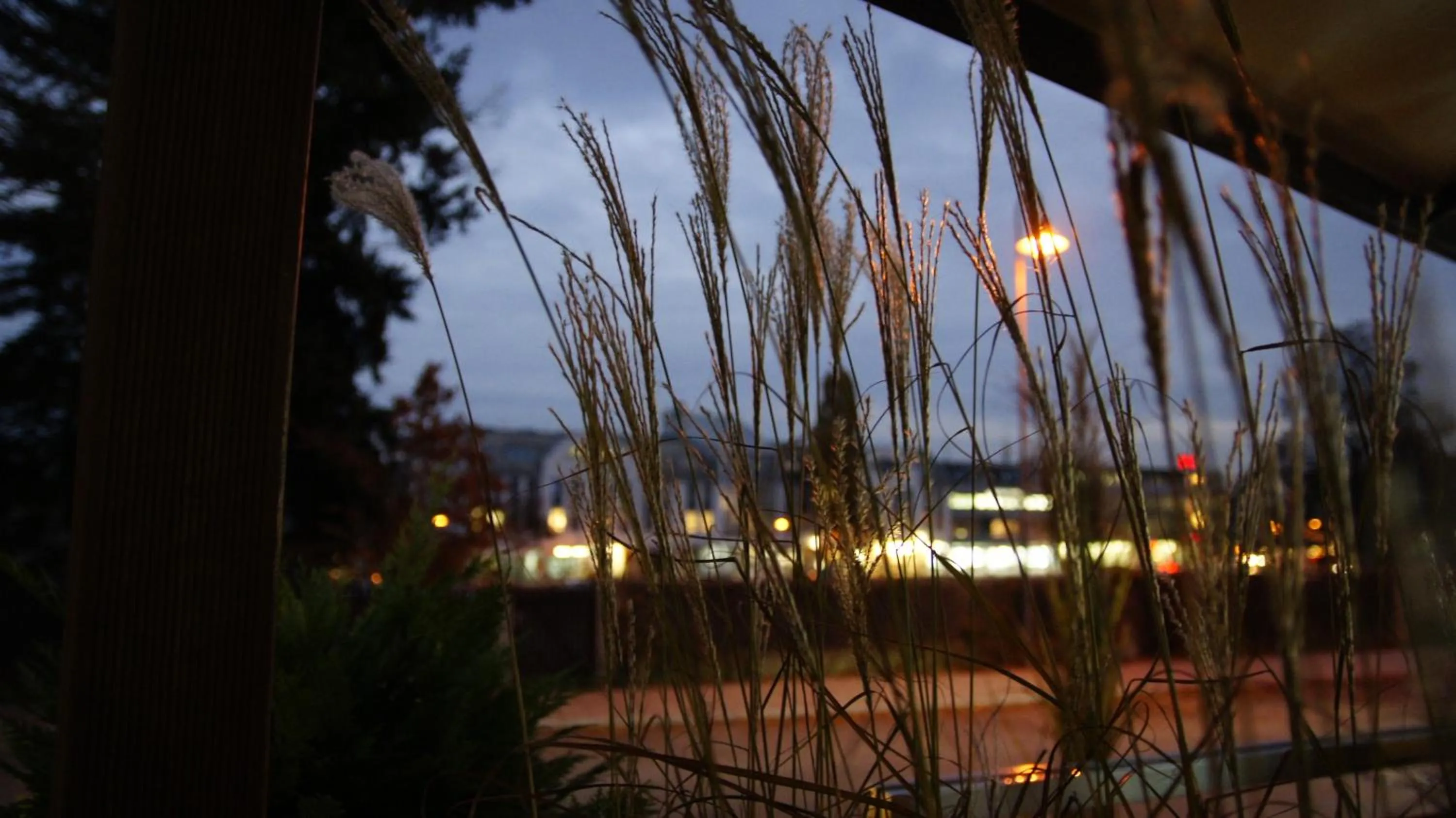 View (from property/room) in Gersthofer Auszeit