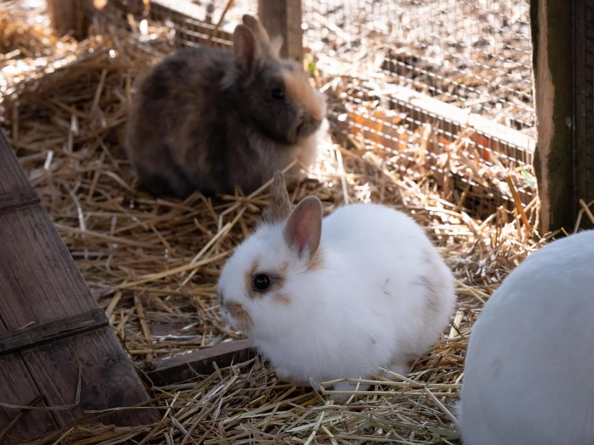 Le Château De Beaulieu