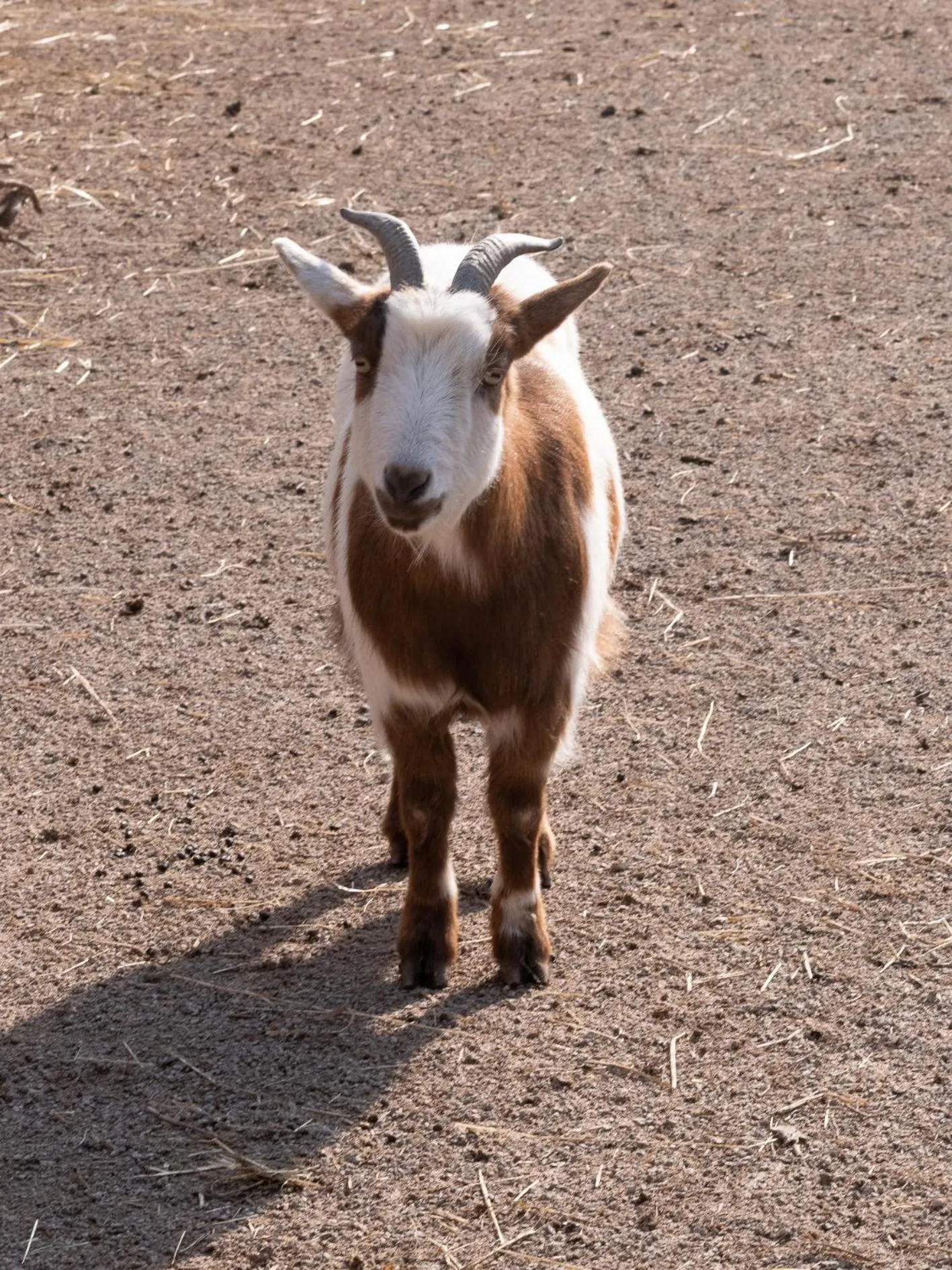 Le Château De Beaulieu