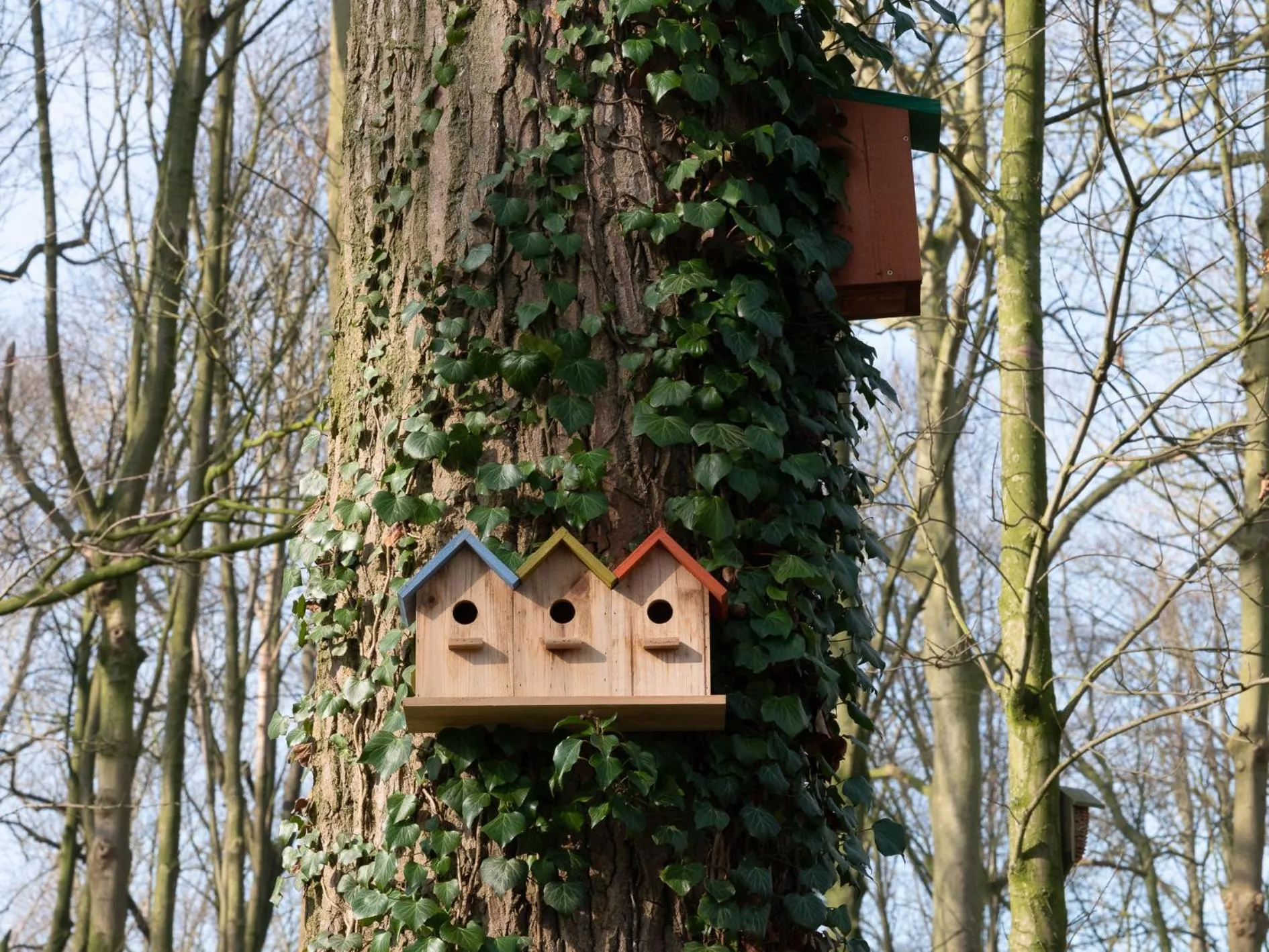 Le Château De Beaulieu